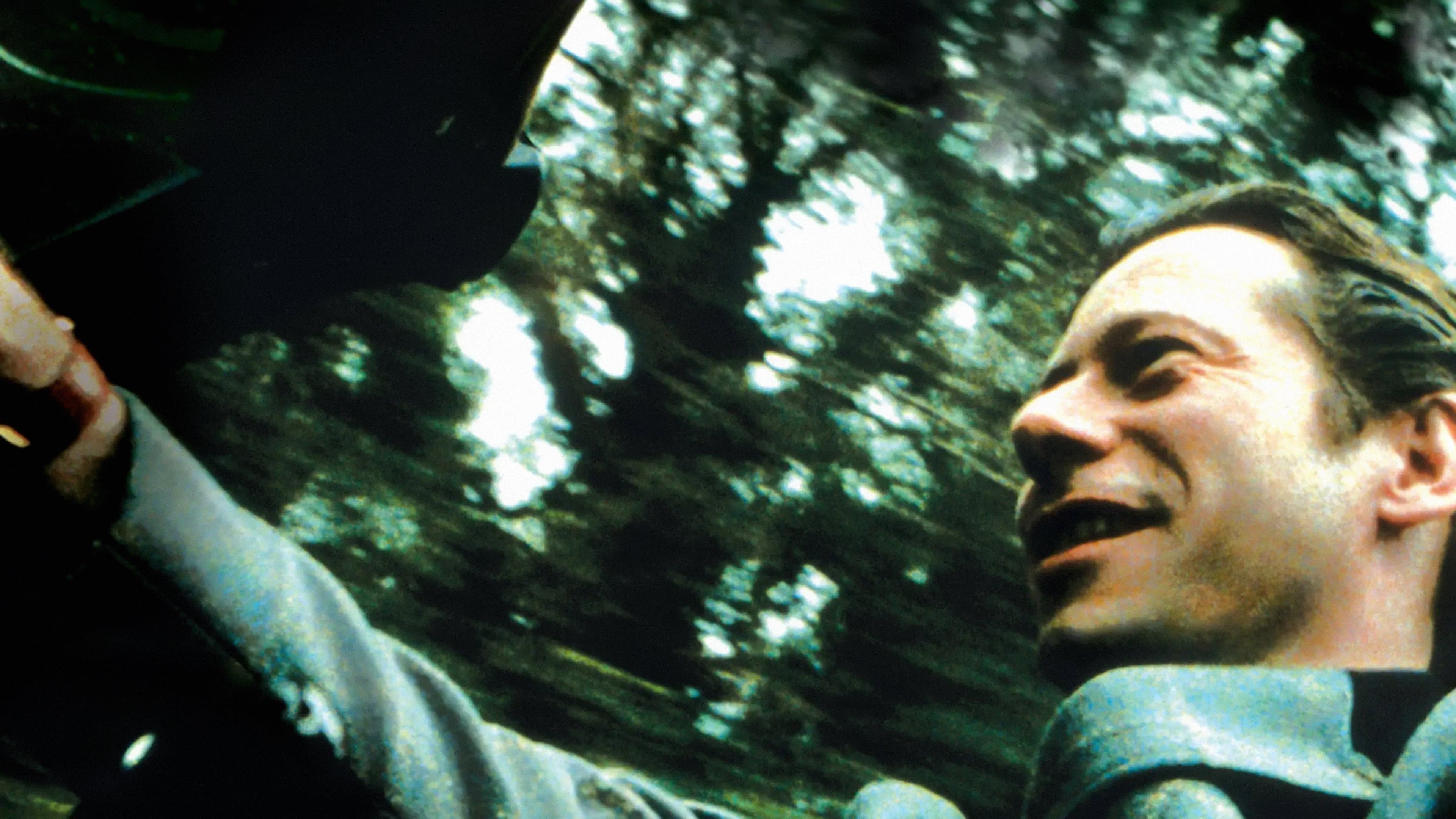 Scafandrul și fluturele