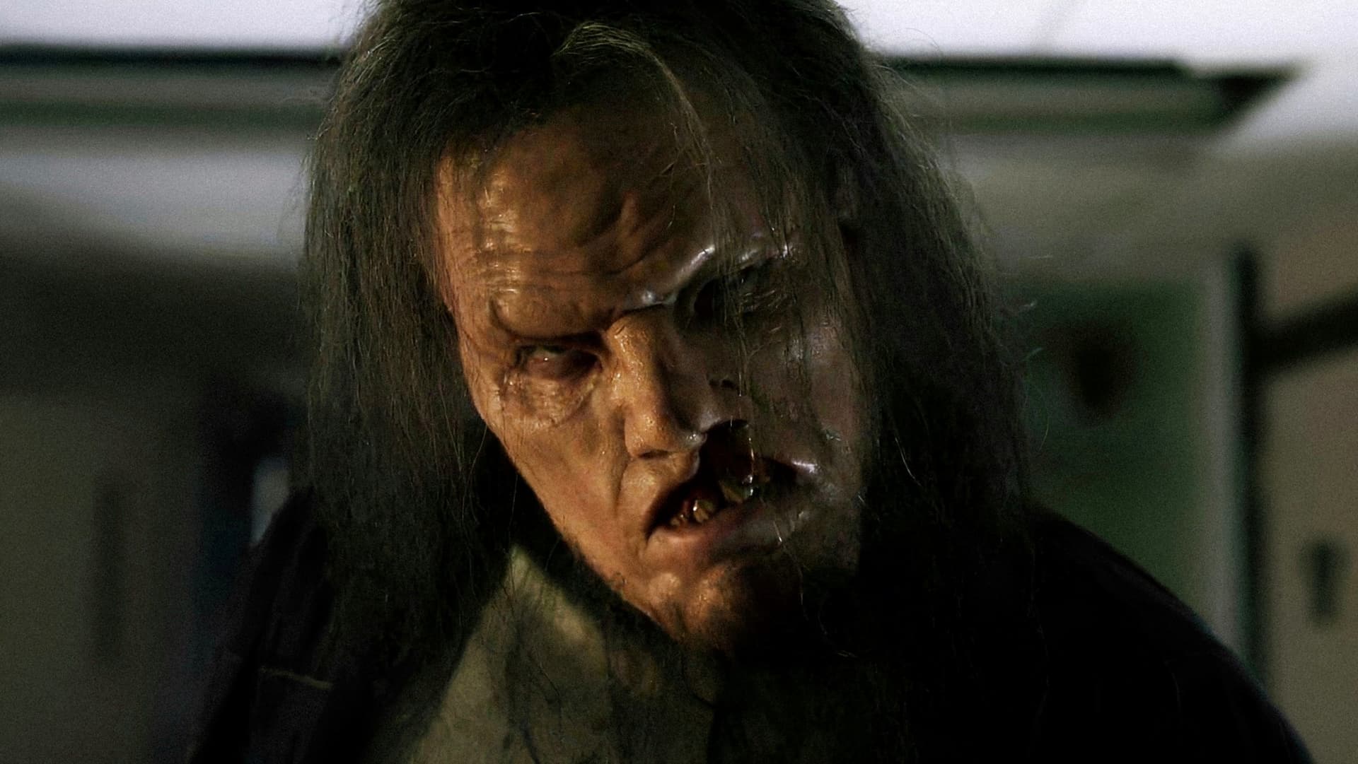 Drum interzis 4: Începuturi sângeroase