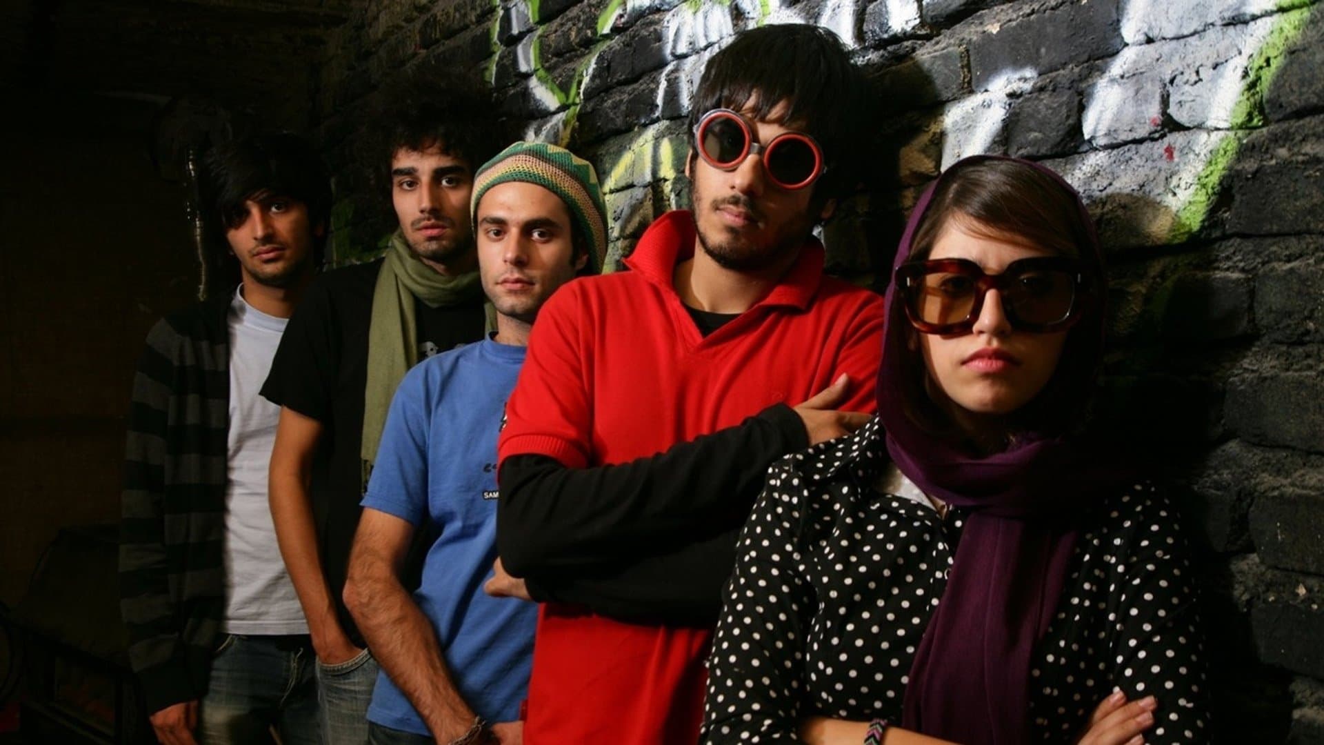 کسی از گربه‌های ایرانی خبر نداره