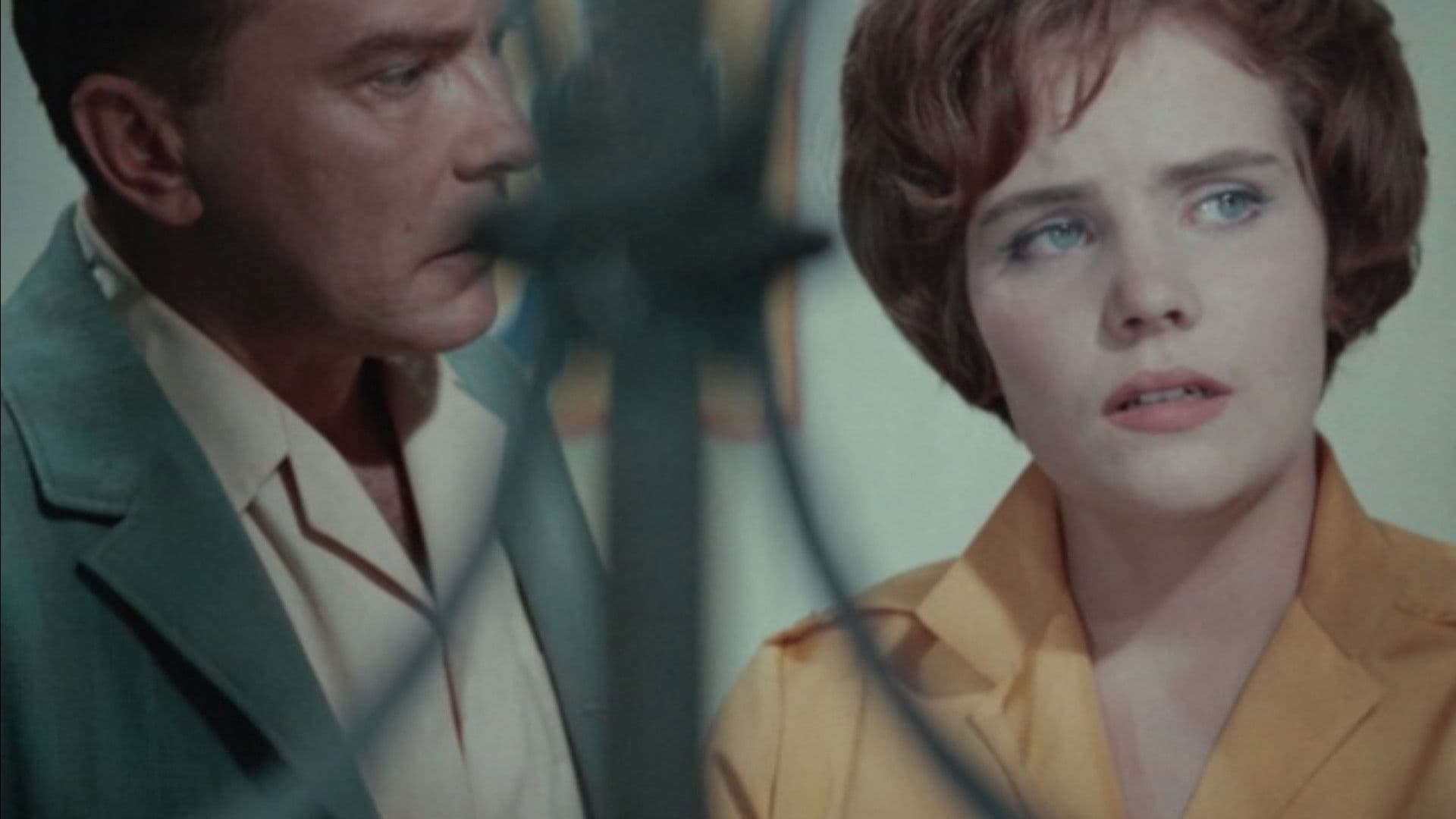 Mäed kui valged elevandid