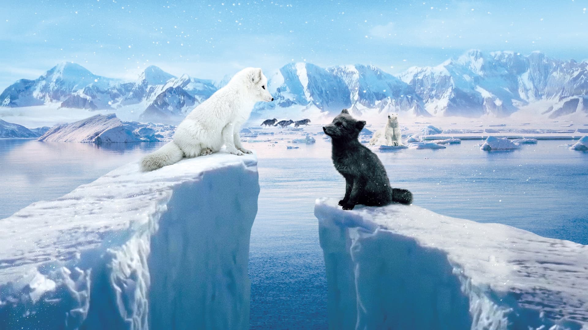 Kina și Yuk - O caldă aventură polară