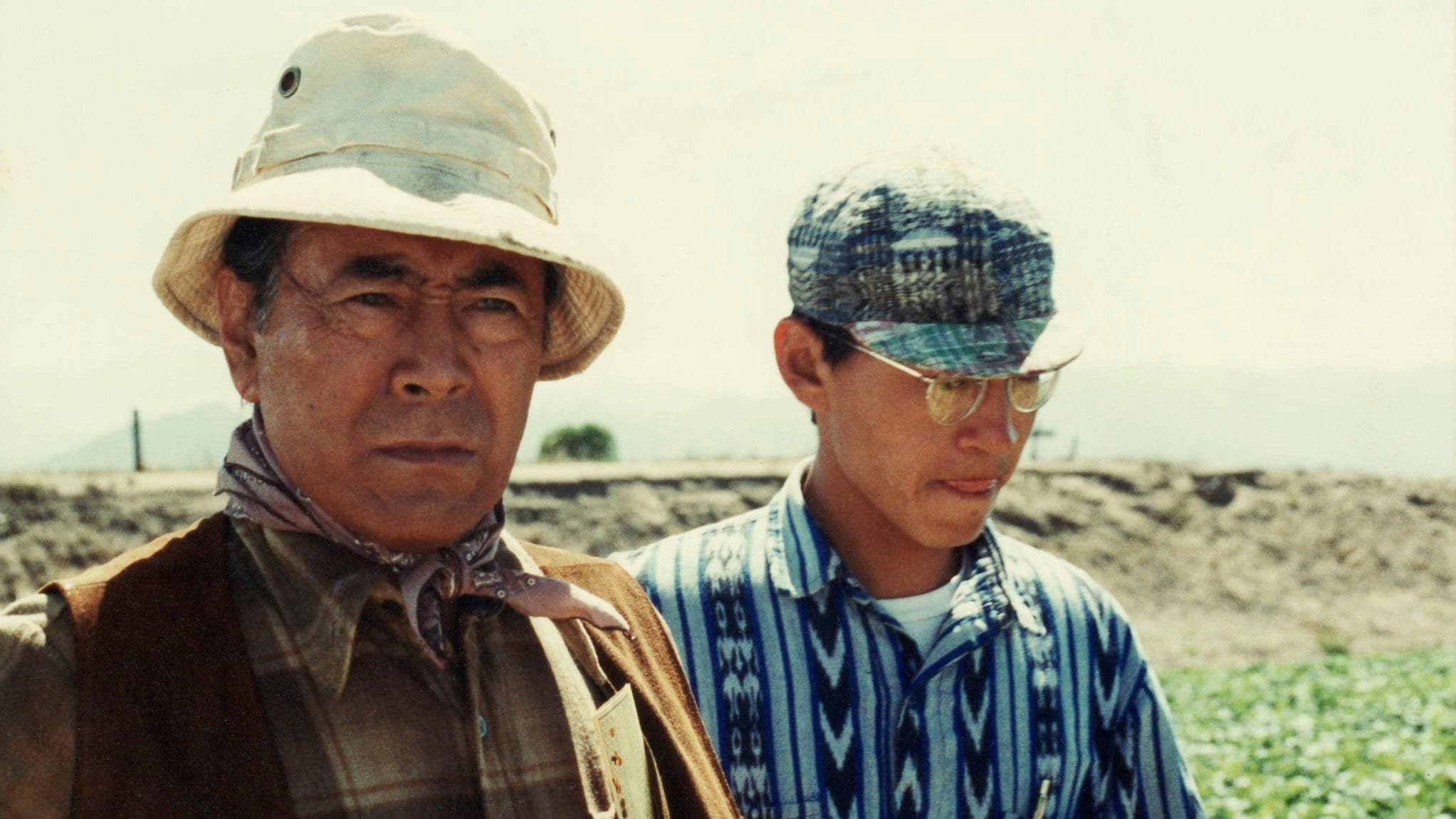 ストロベリーロード