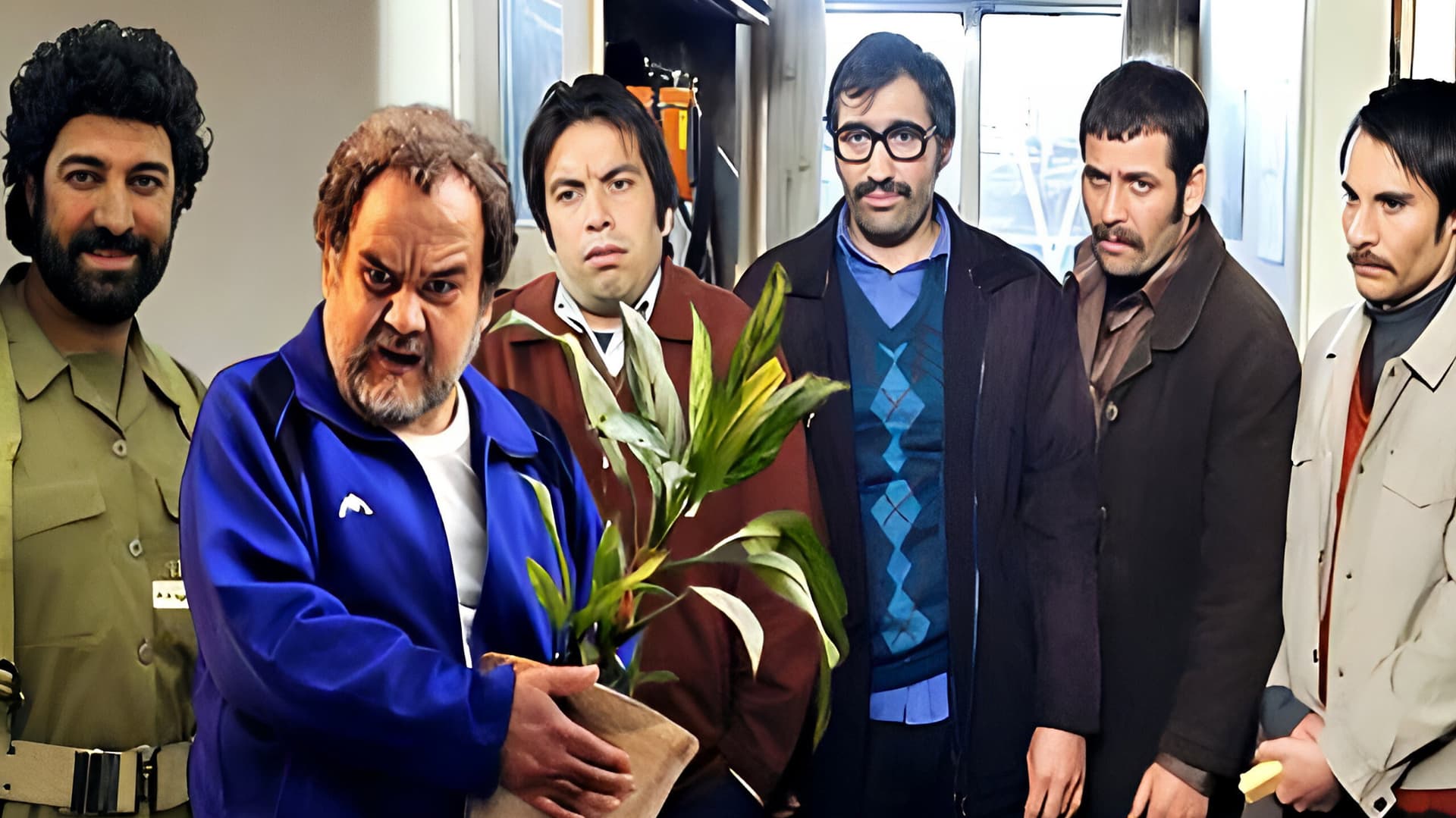 بیدار باش