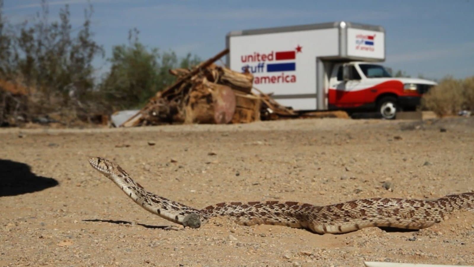 United Stuff of America