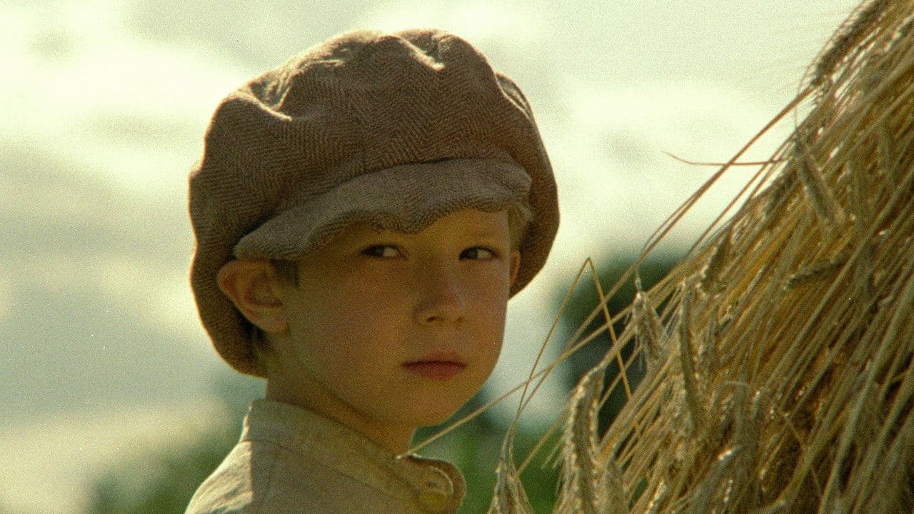 Vella kalpi Vella dzirnavās