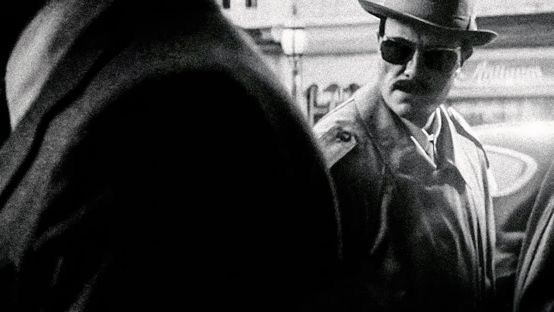 Das Verschwinden des Josef Mengele