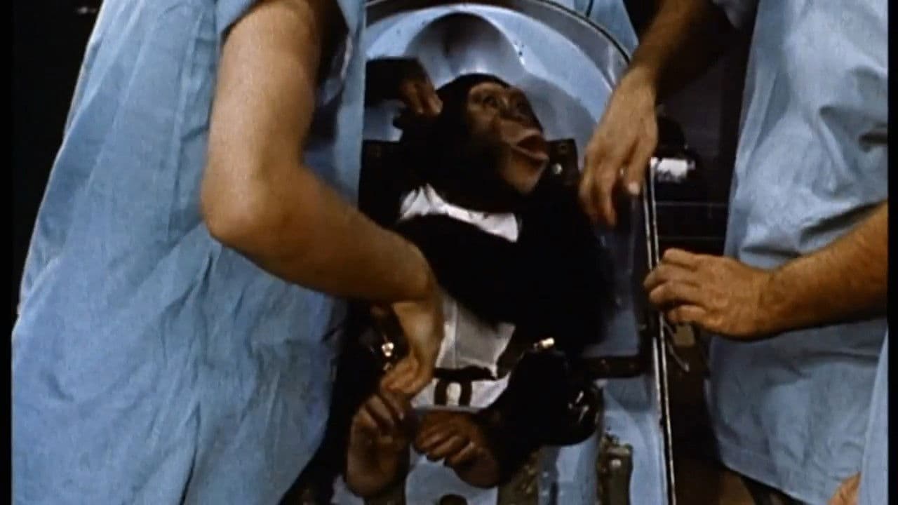 Ham, un chimpanzé dans l'espace