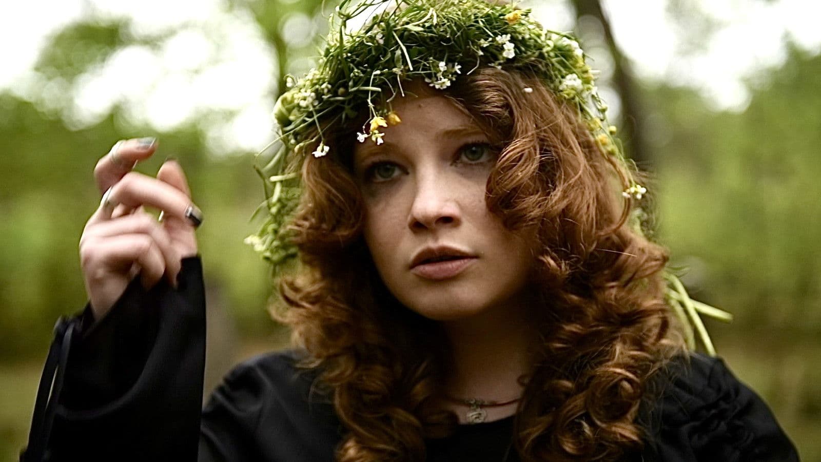 Pogrzeb kwiatów polnych