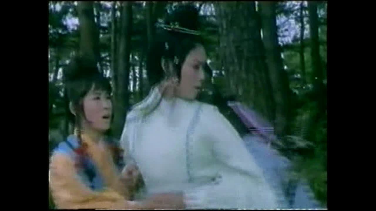Fei long duo bo