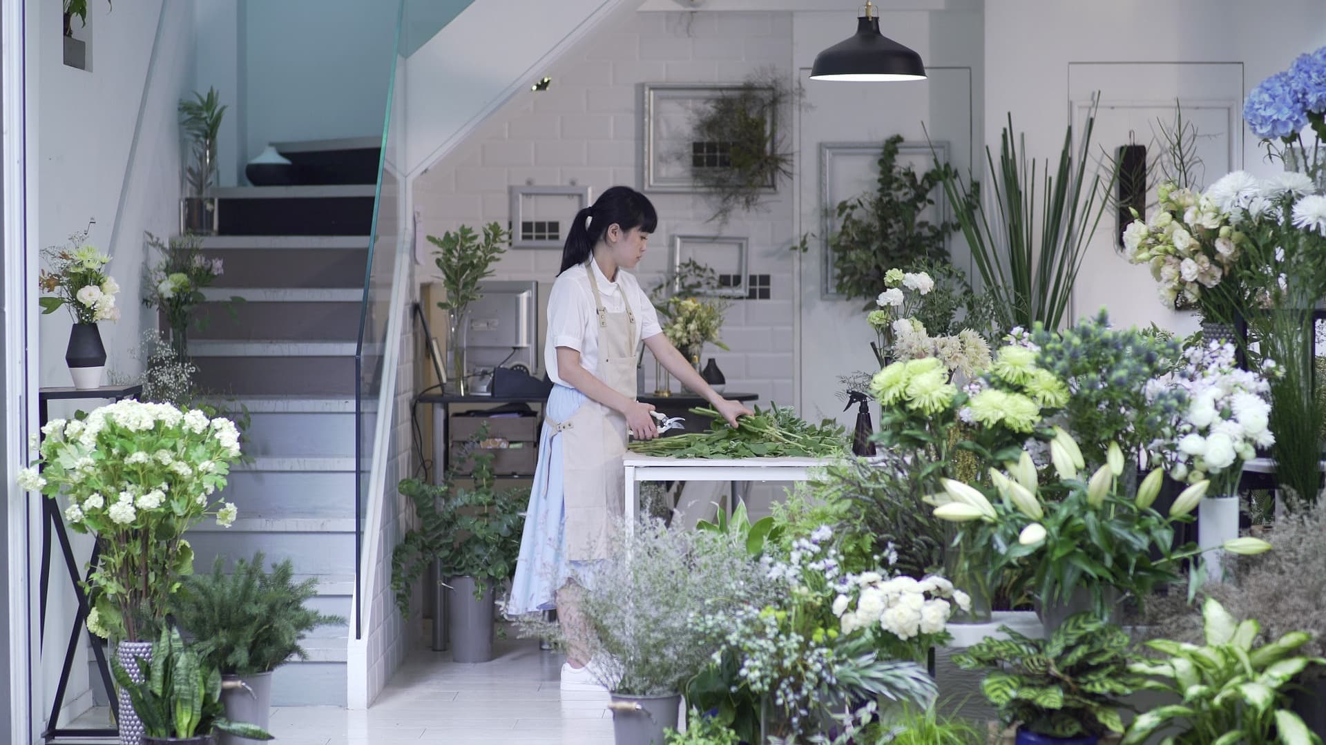 Little Shop of Grotesque