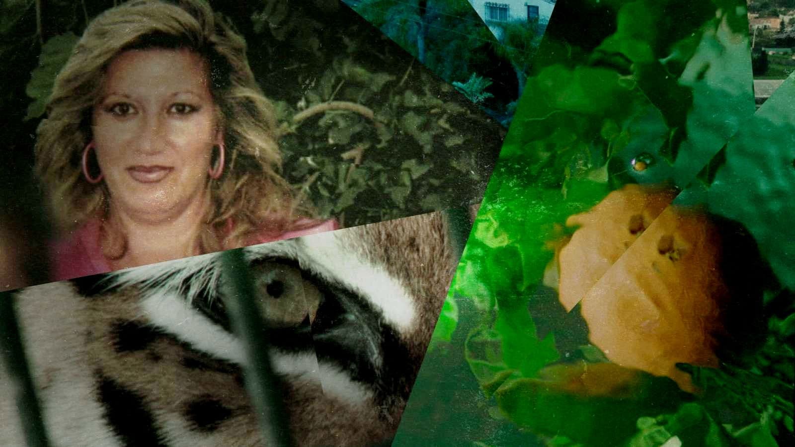 Lucía en la telaraña