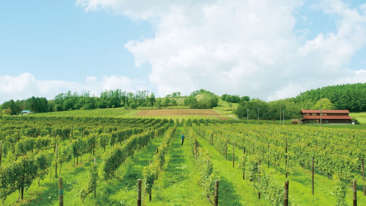 ぶどうのなみだ