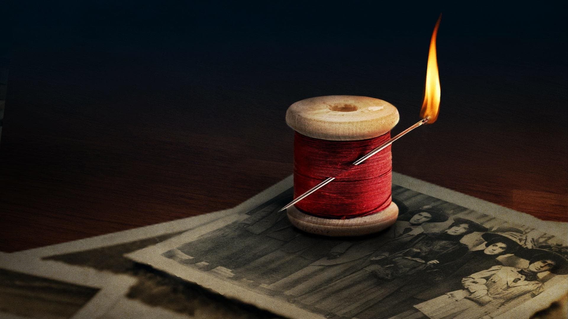 Experiența americană