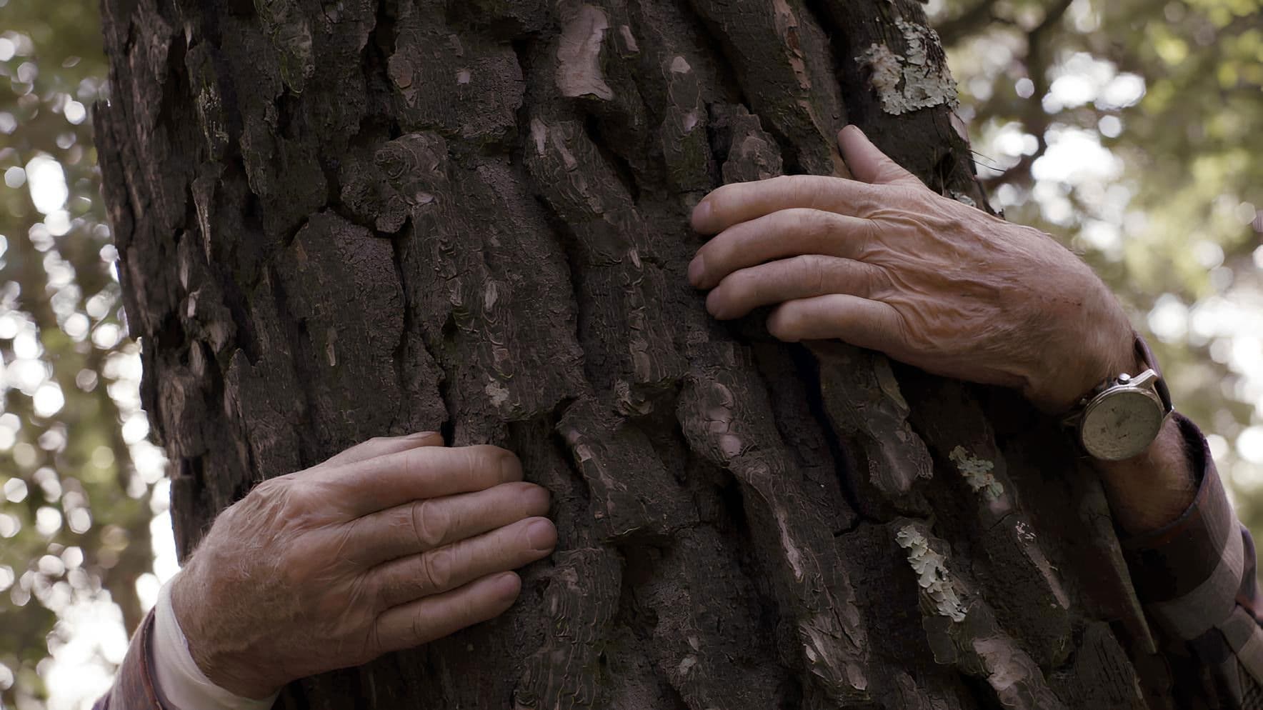 Une vie sans mystère