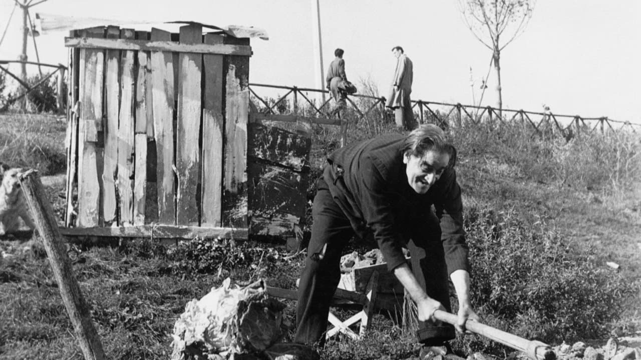 Ai margini della metropoli