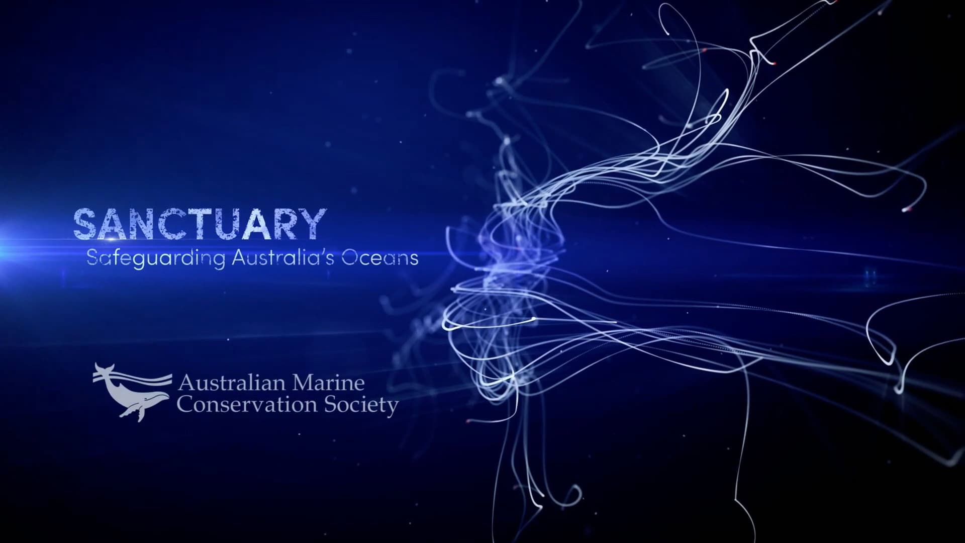 SANCTUARY - Safeguarding Australia's Oceans