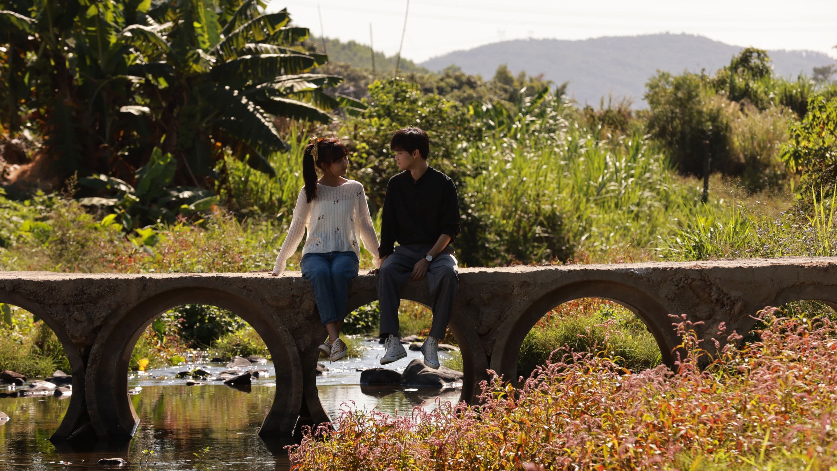 同学，你什么时候从我家搬走？