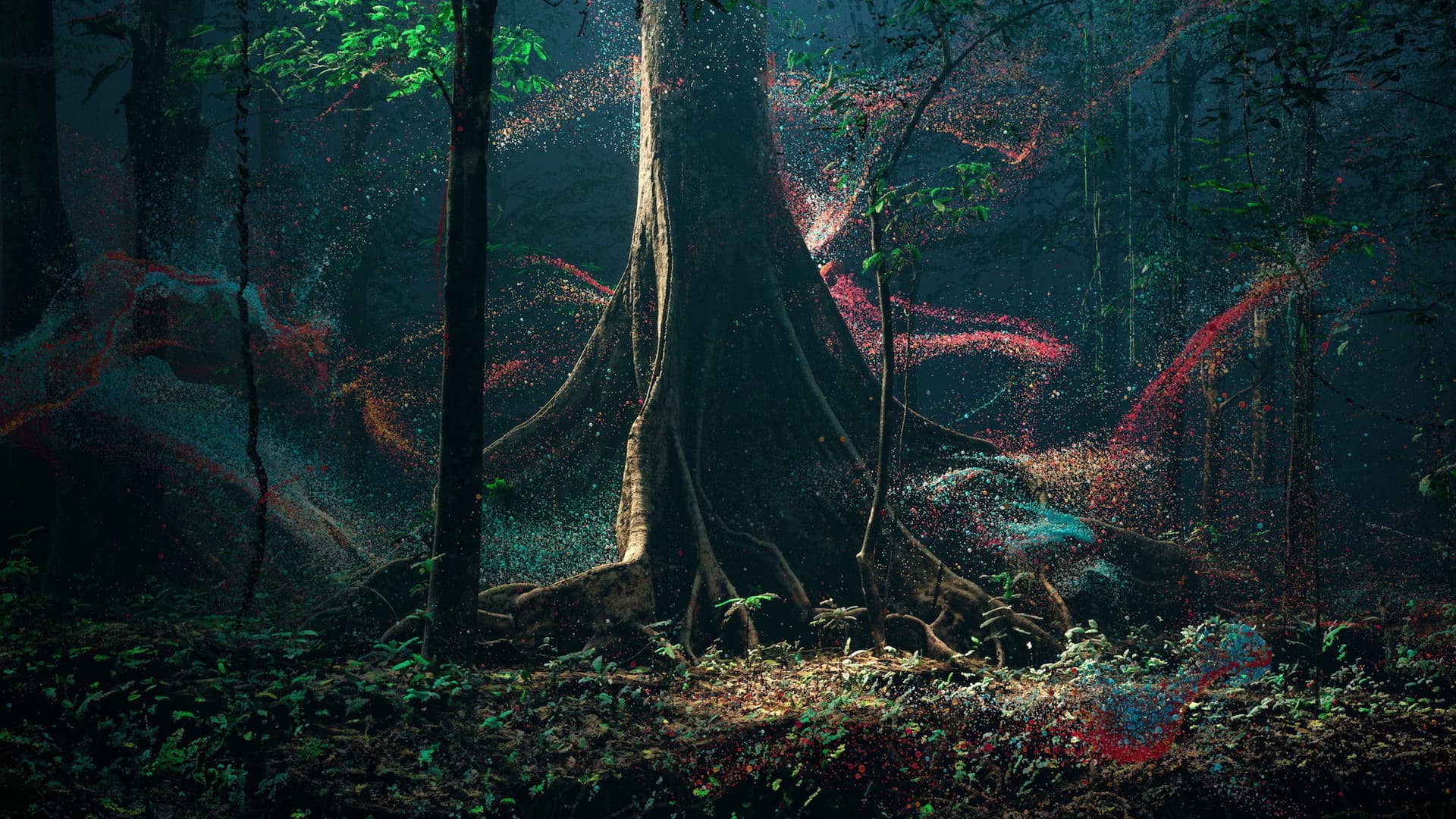 Breathing with the Forest