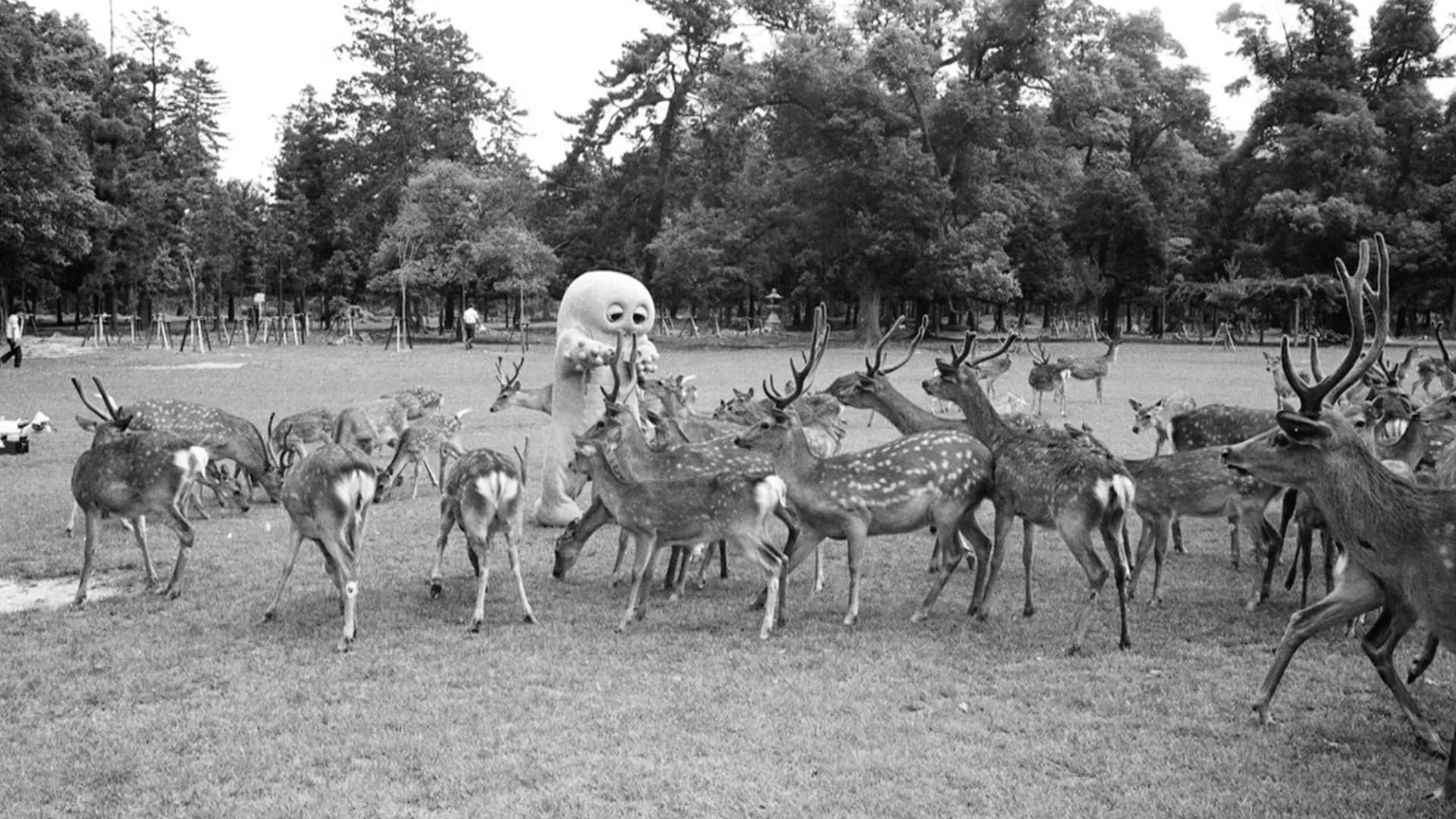 ひらけ!ポンキッキ