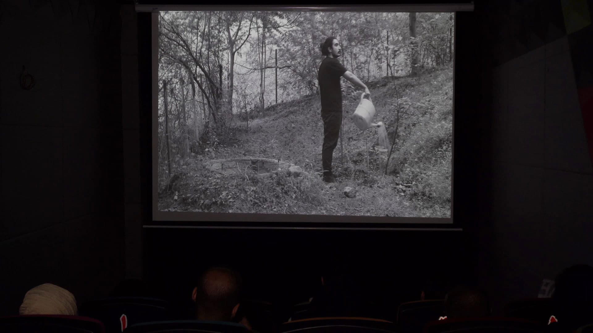 جادو در سینما