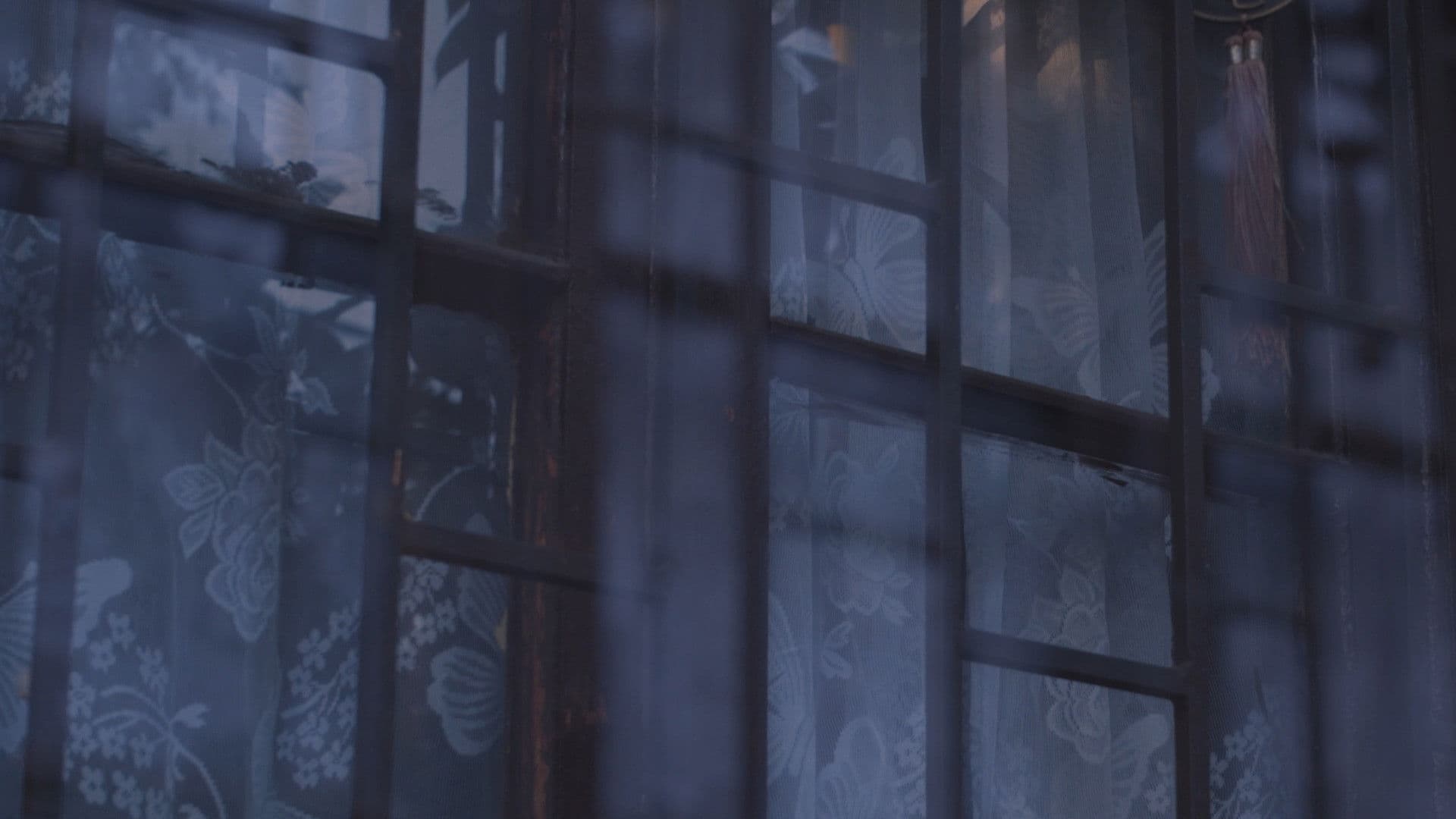 Lo Que Queda en la Tierra