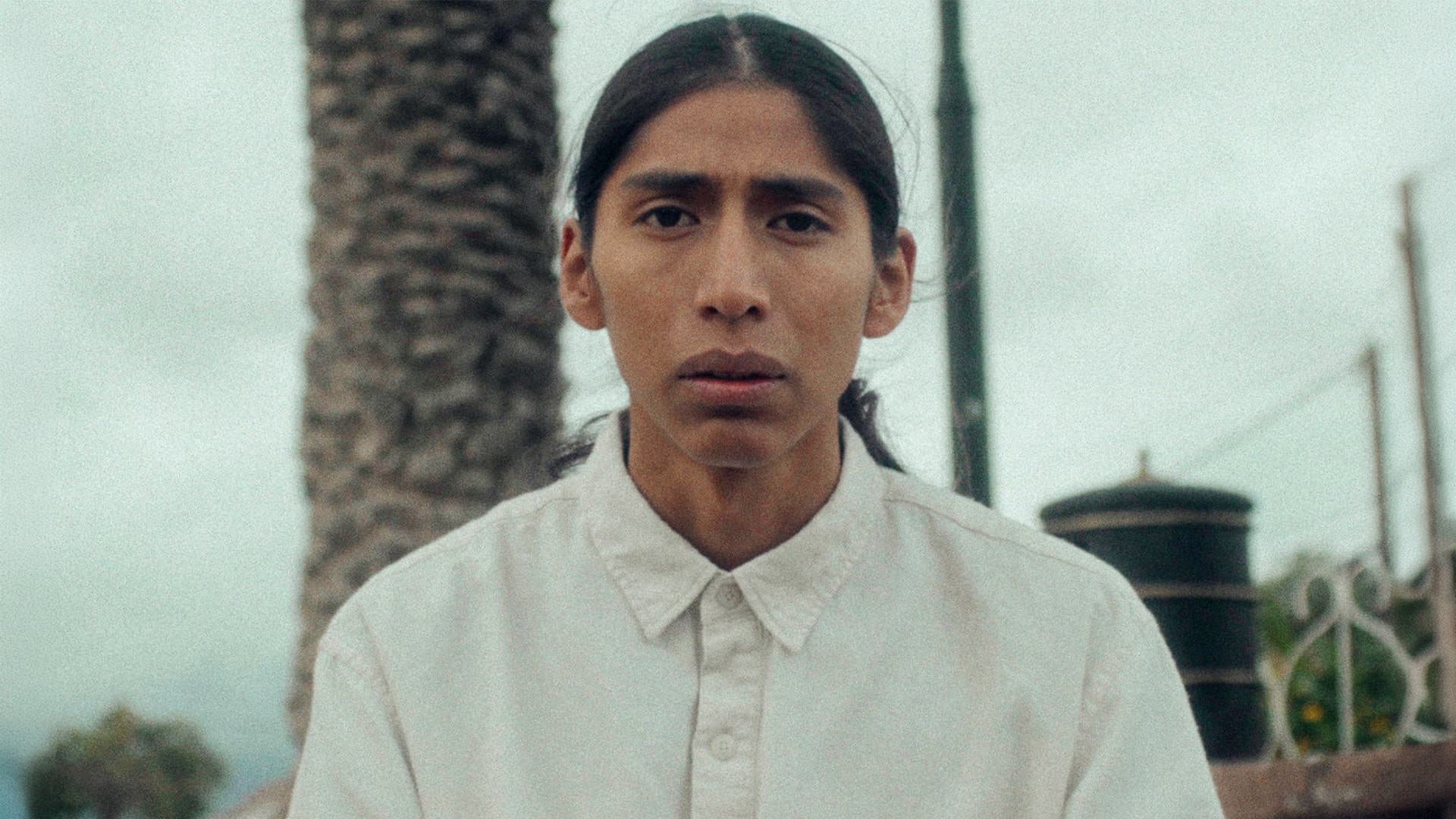 Crónica de una Desdicha Hereditaria