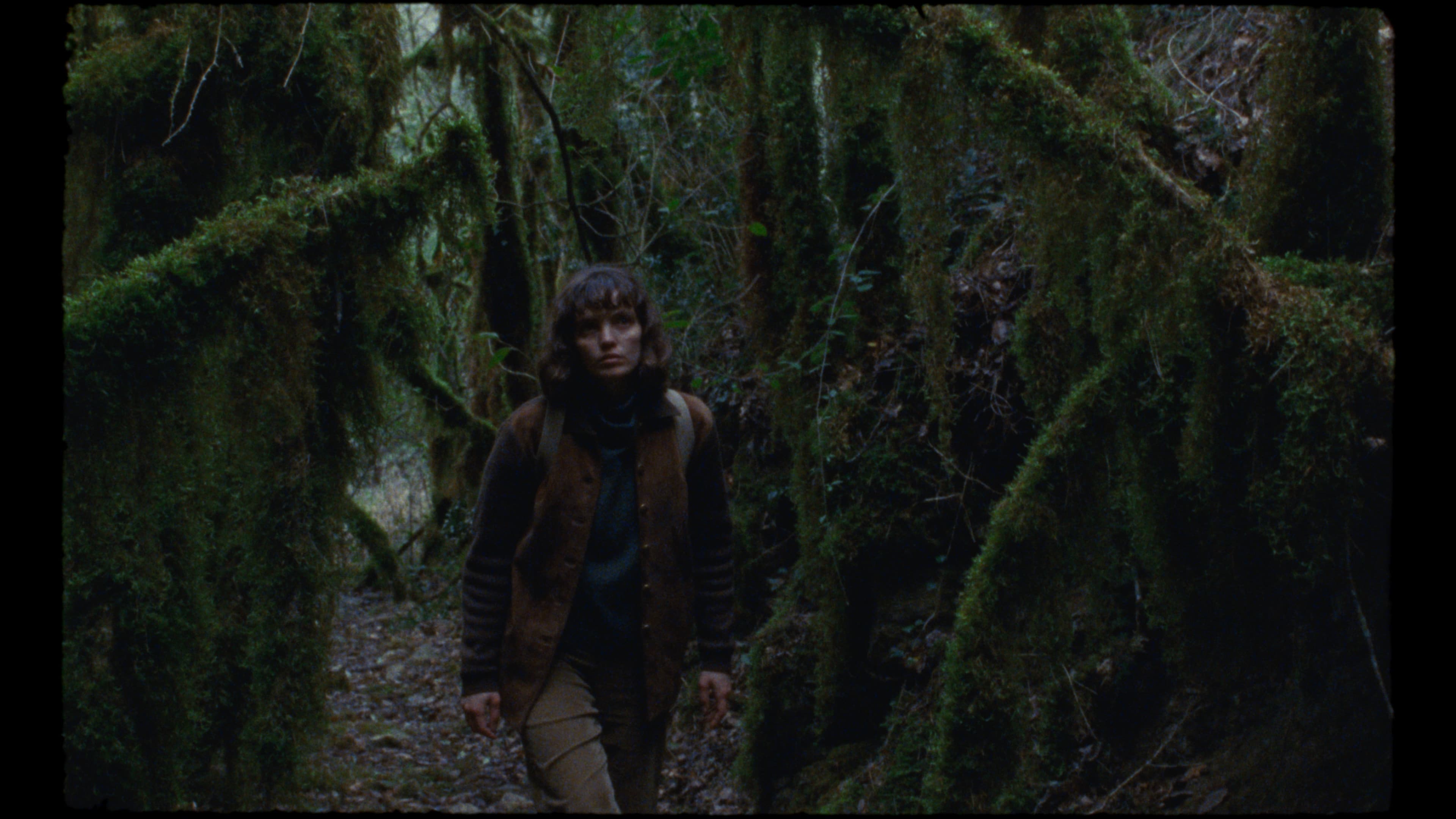 La font de la memòria