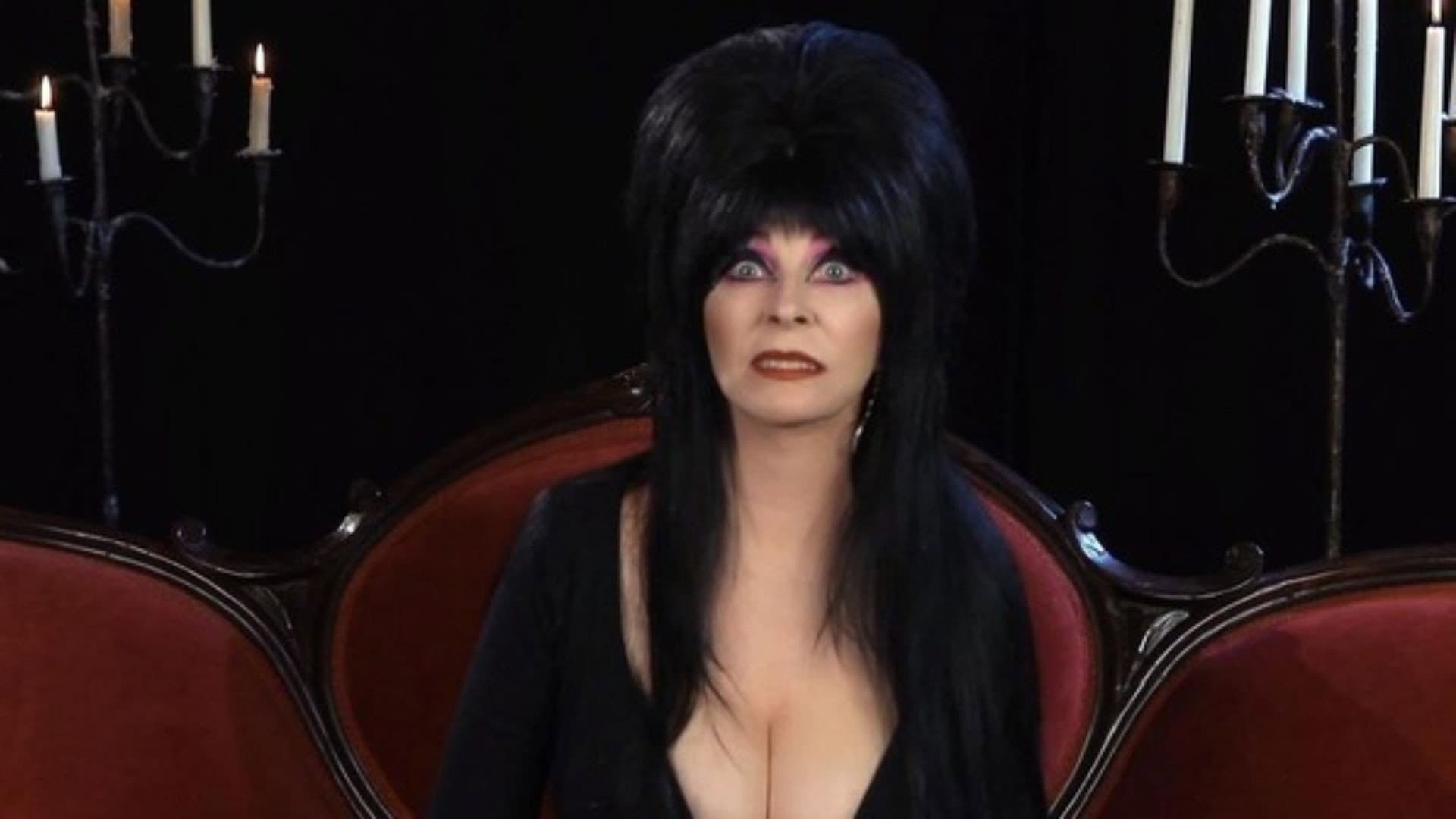Elvira's 10 Nights of Halloween