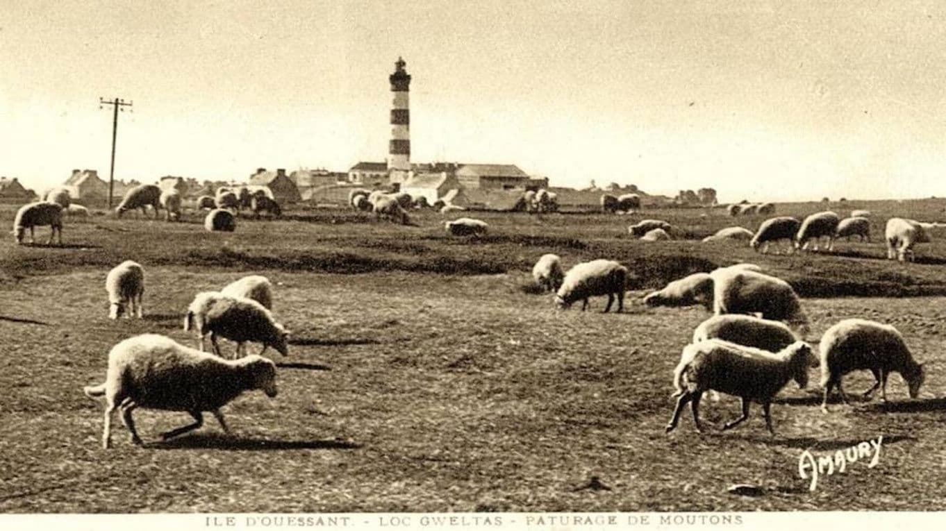 Il y avait du pétrole à Ouessant