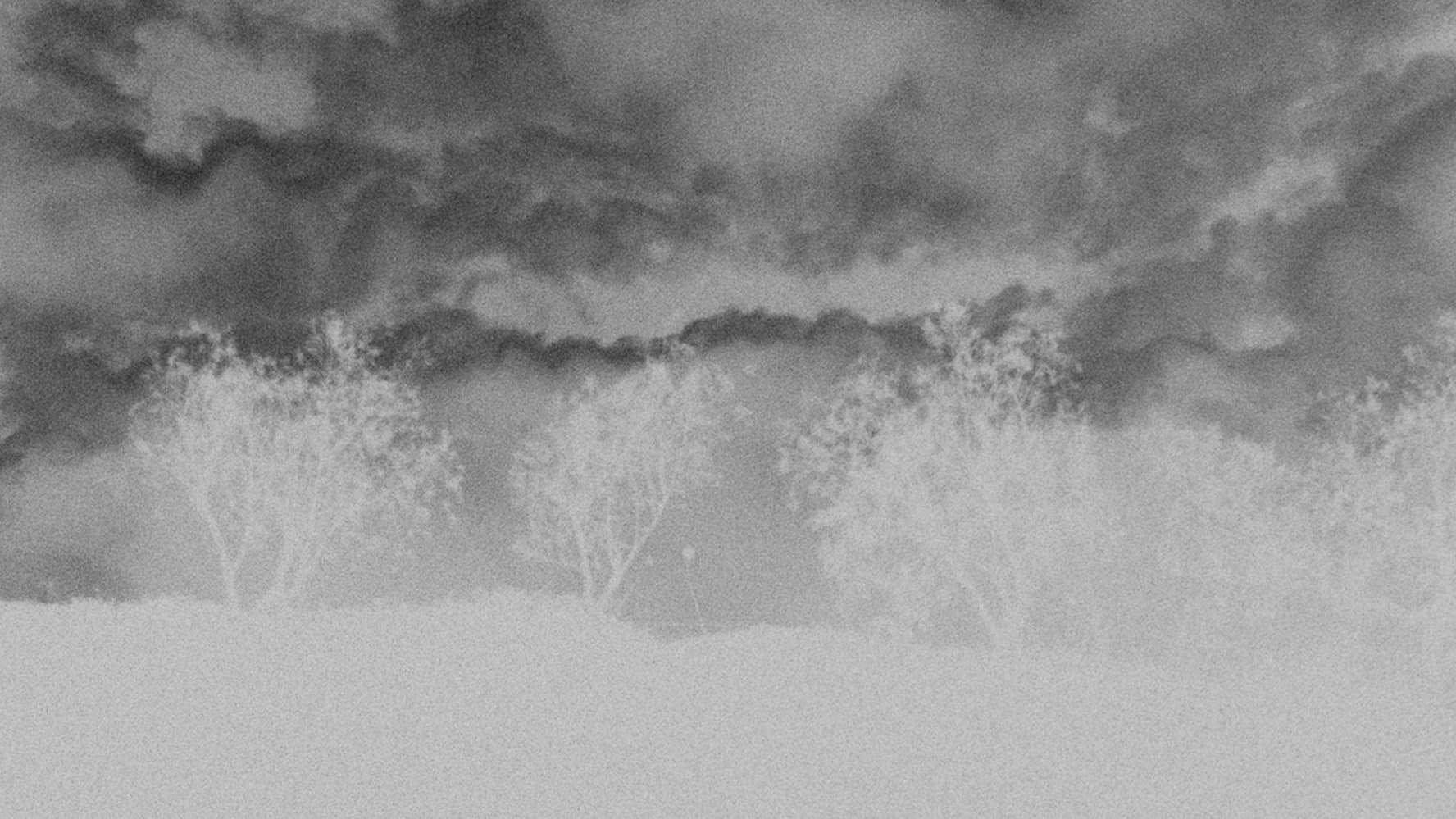 In Die Sonne Blicken