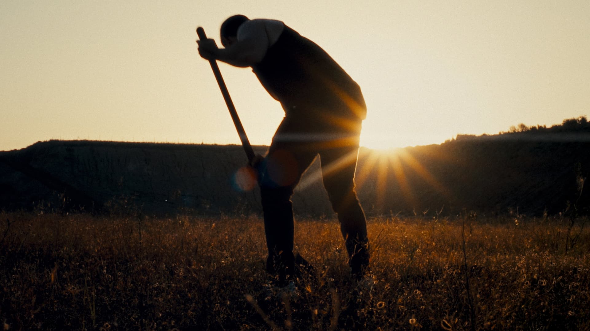 Faster, Hollywood: Die! Die!