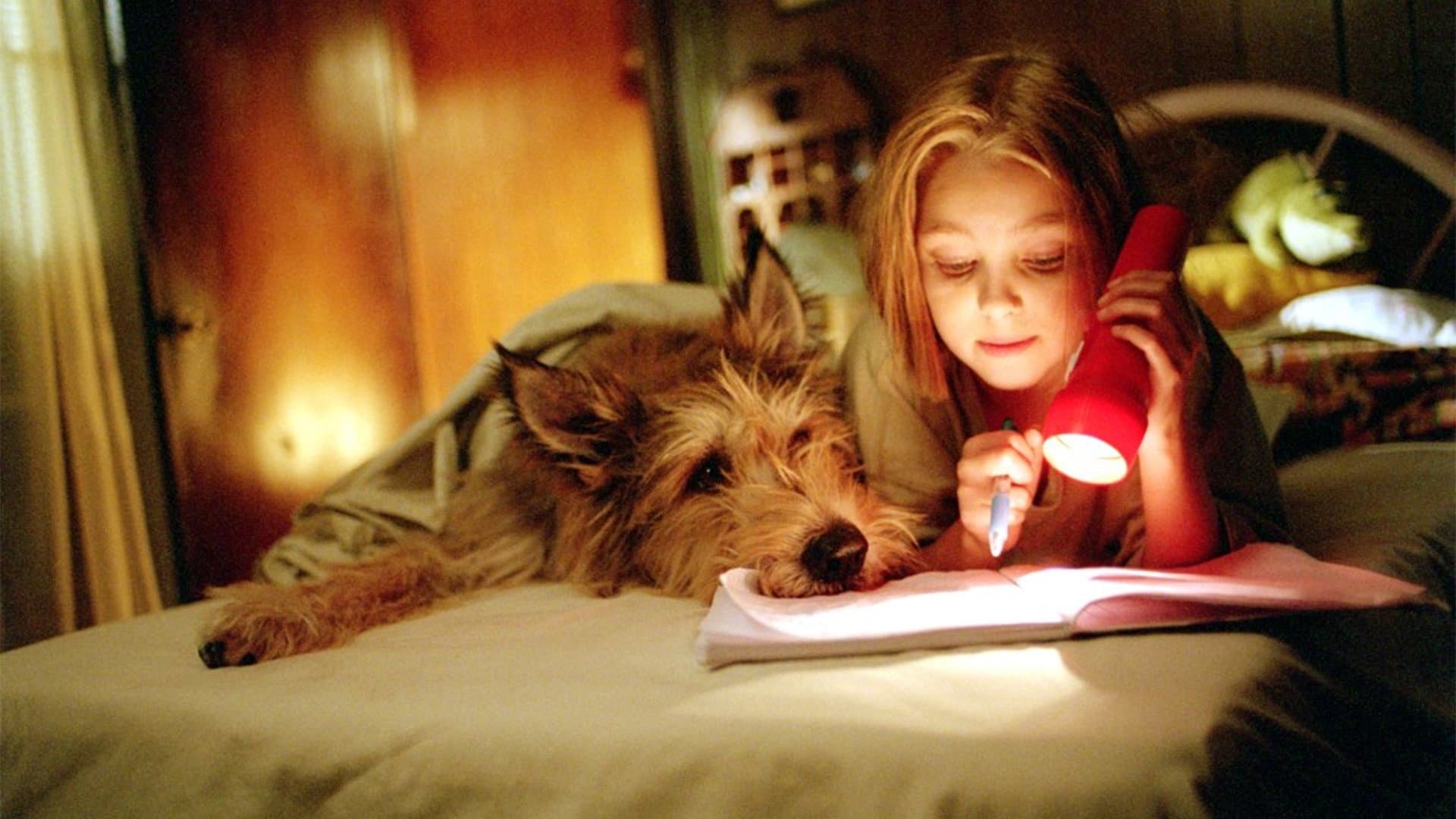 Din cauza lui Winn-Dixie