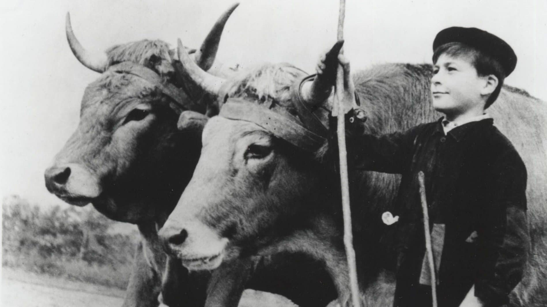 Farrebique ou les Quatre Saisons