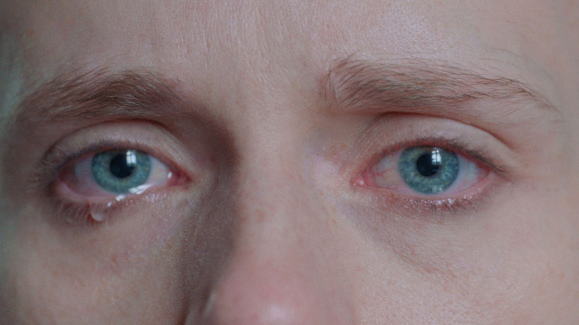 salt in our blood, in our sweat, in our tears