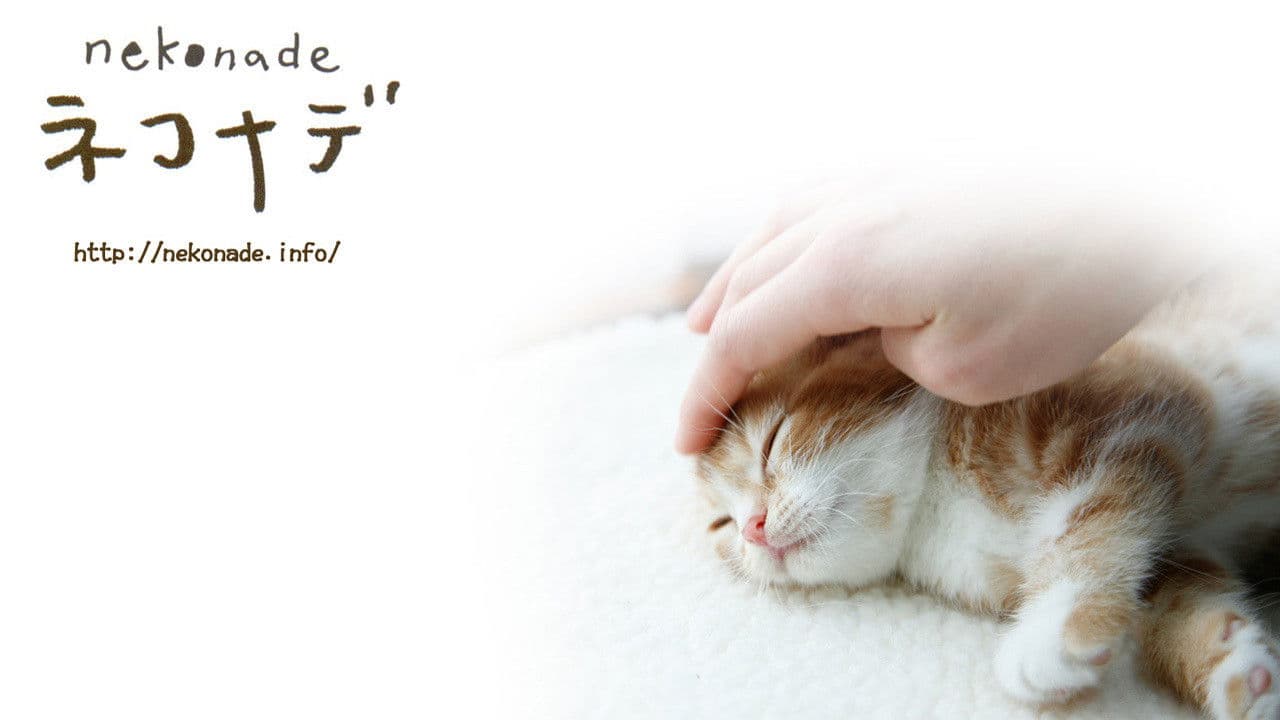 ネコナデ