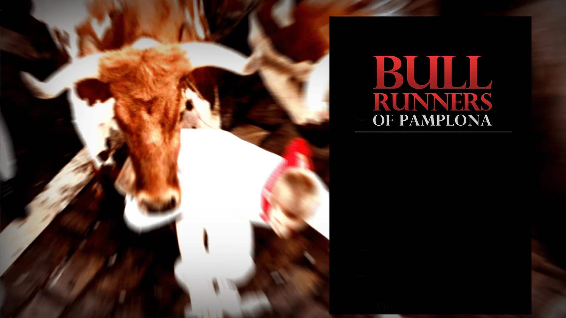 Bull Runners of Pamplona