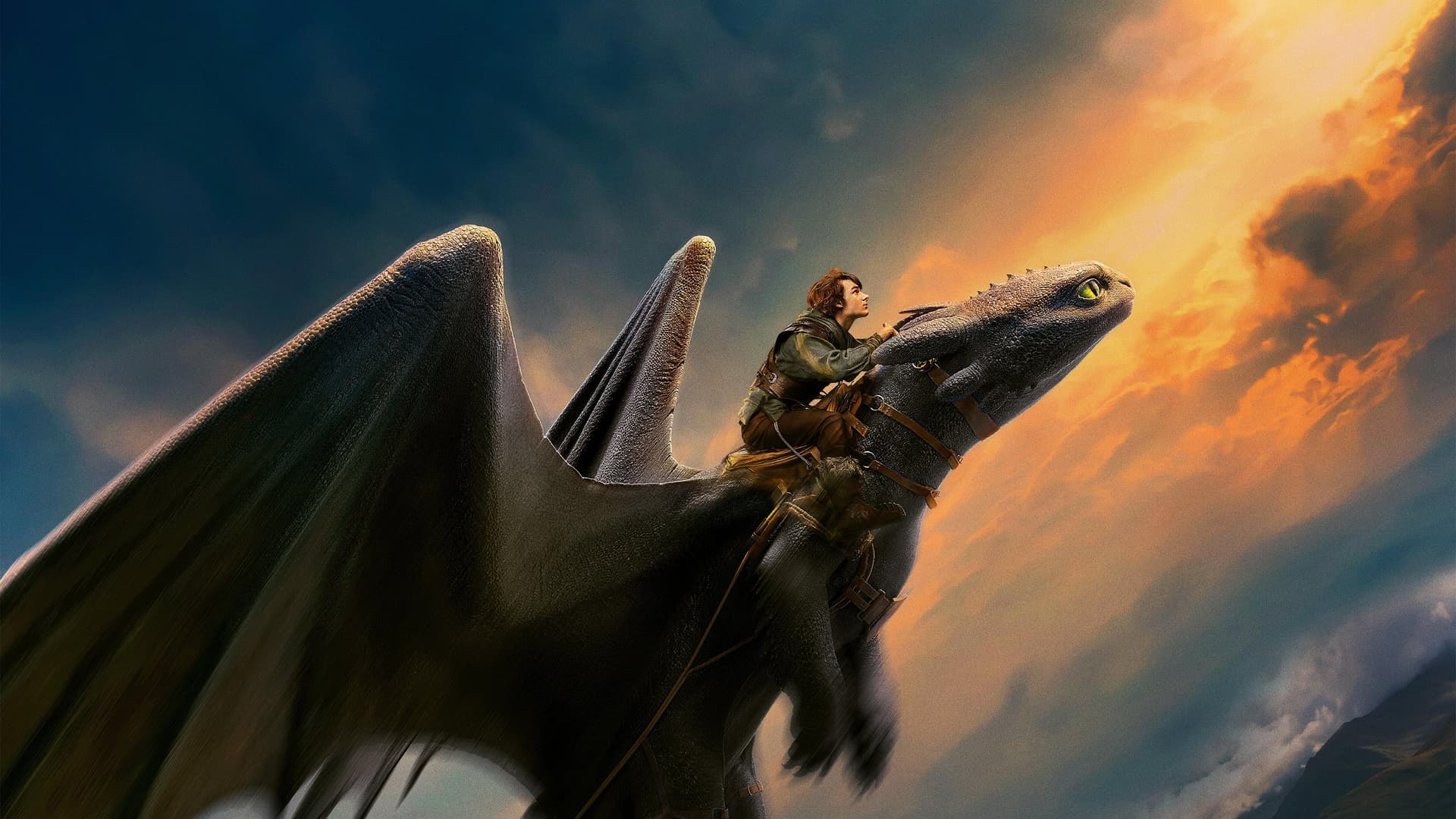 Cum să îți dresezi dragonul