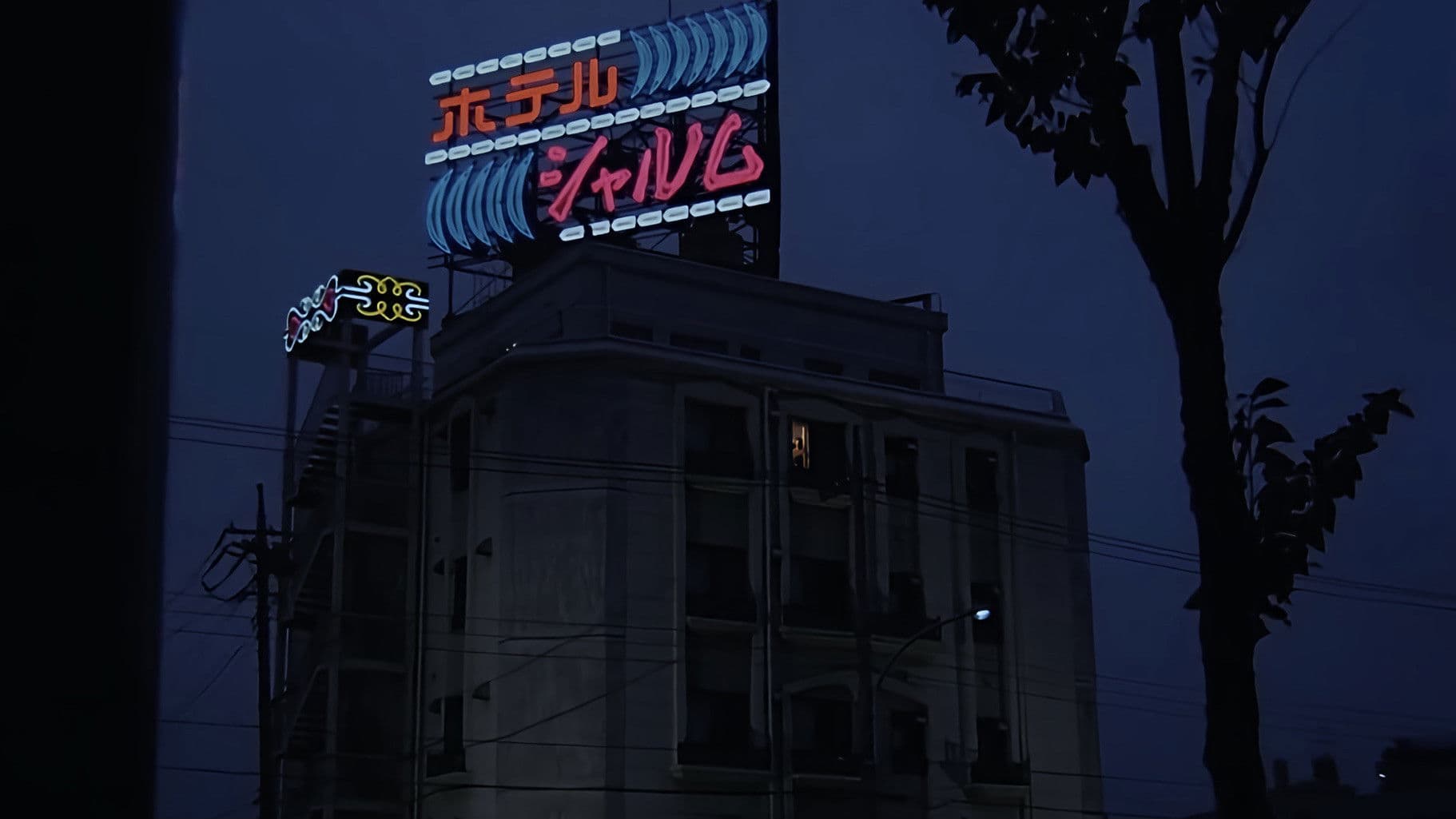 ラブホテル　只今満室