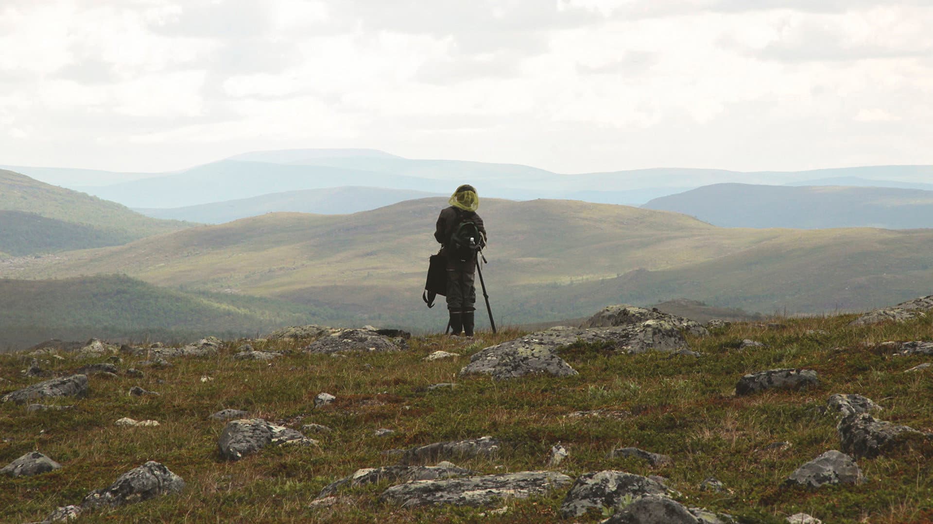 Kesäni sudenkorentona