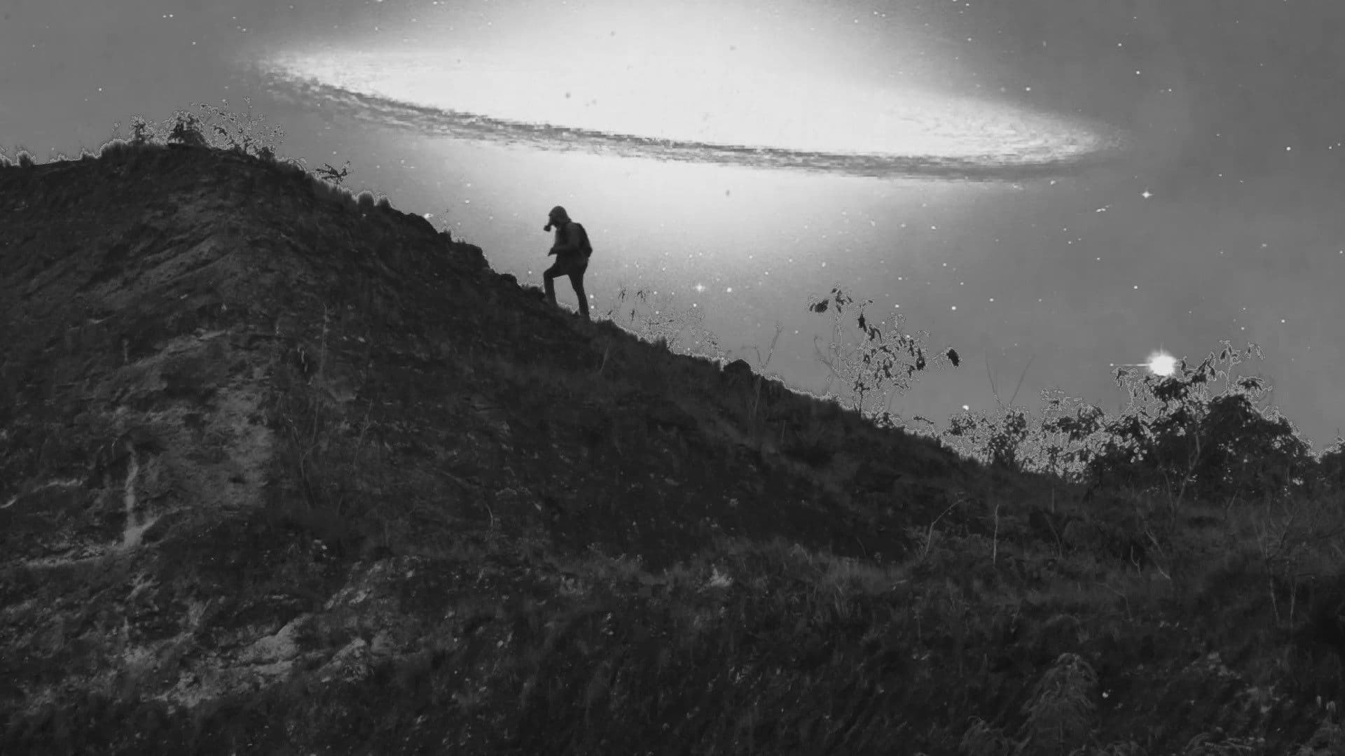 Terrario de Desvelados