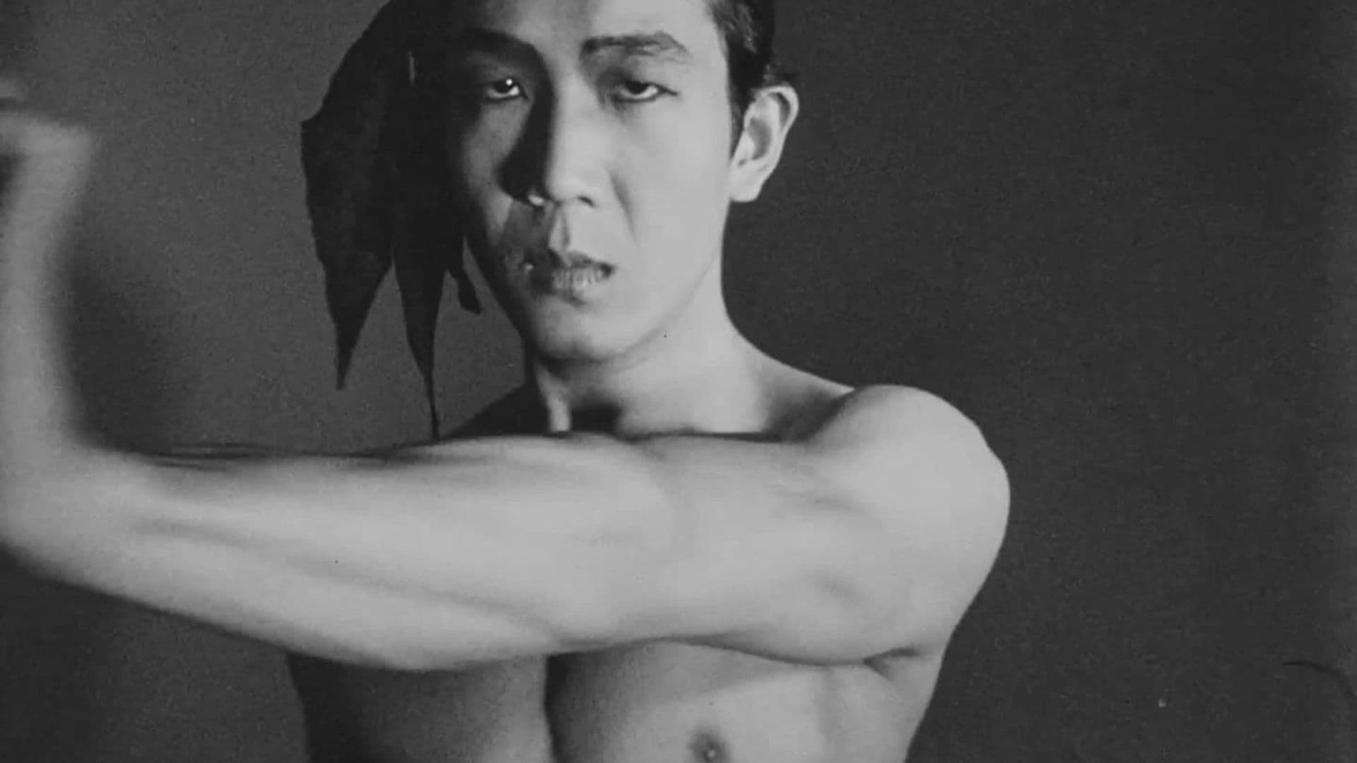 Meditation on Violence