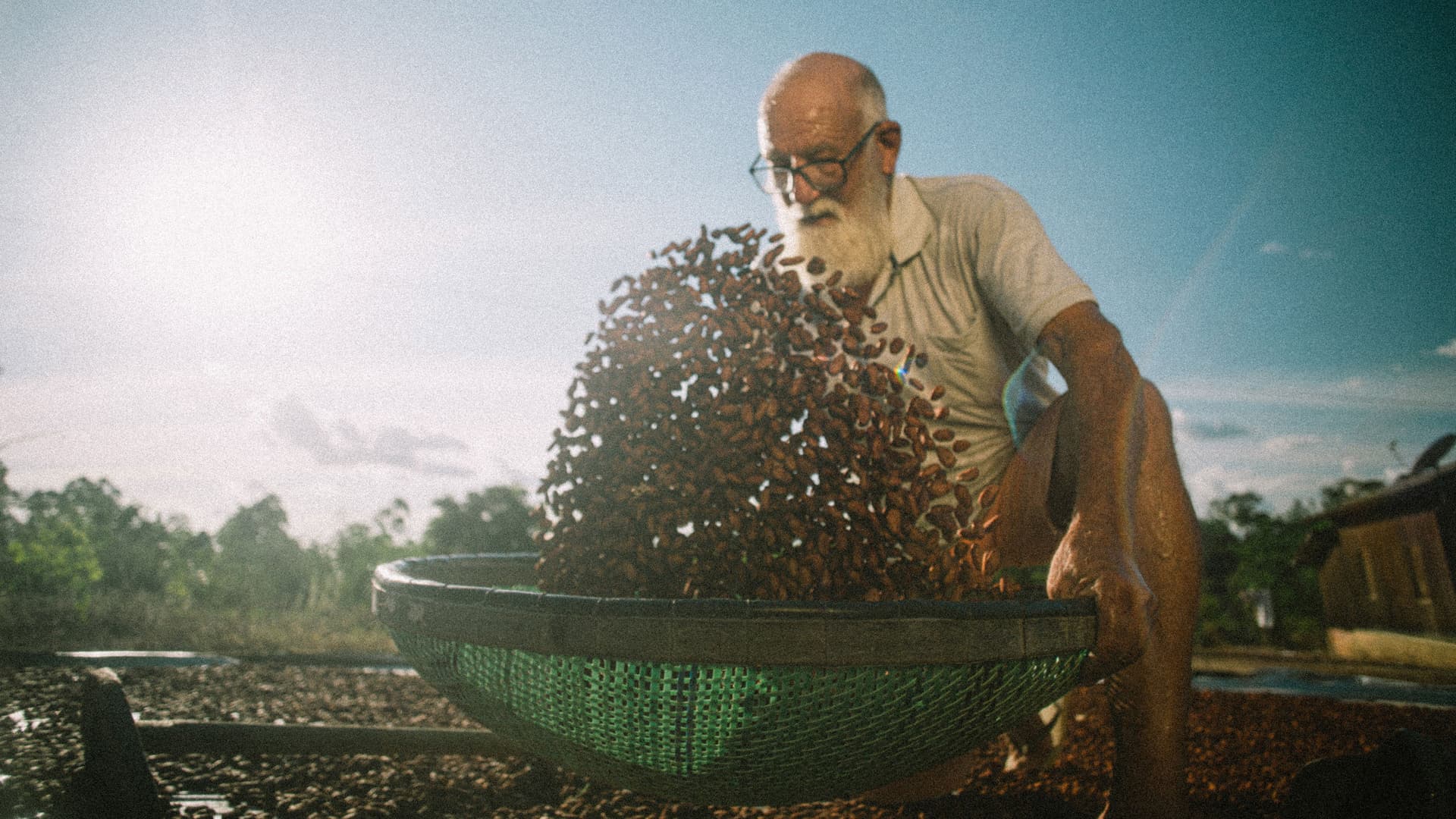 Now We Live in Paradise