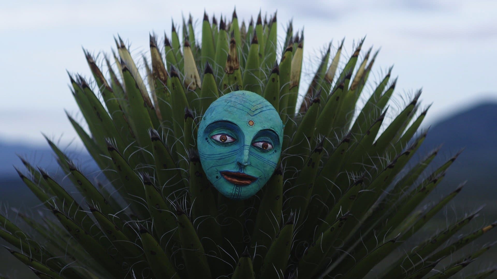 El Carretón del Desierto