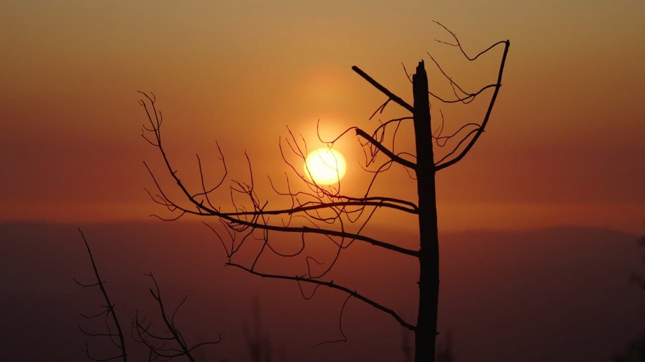 From Devil’s Breath