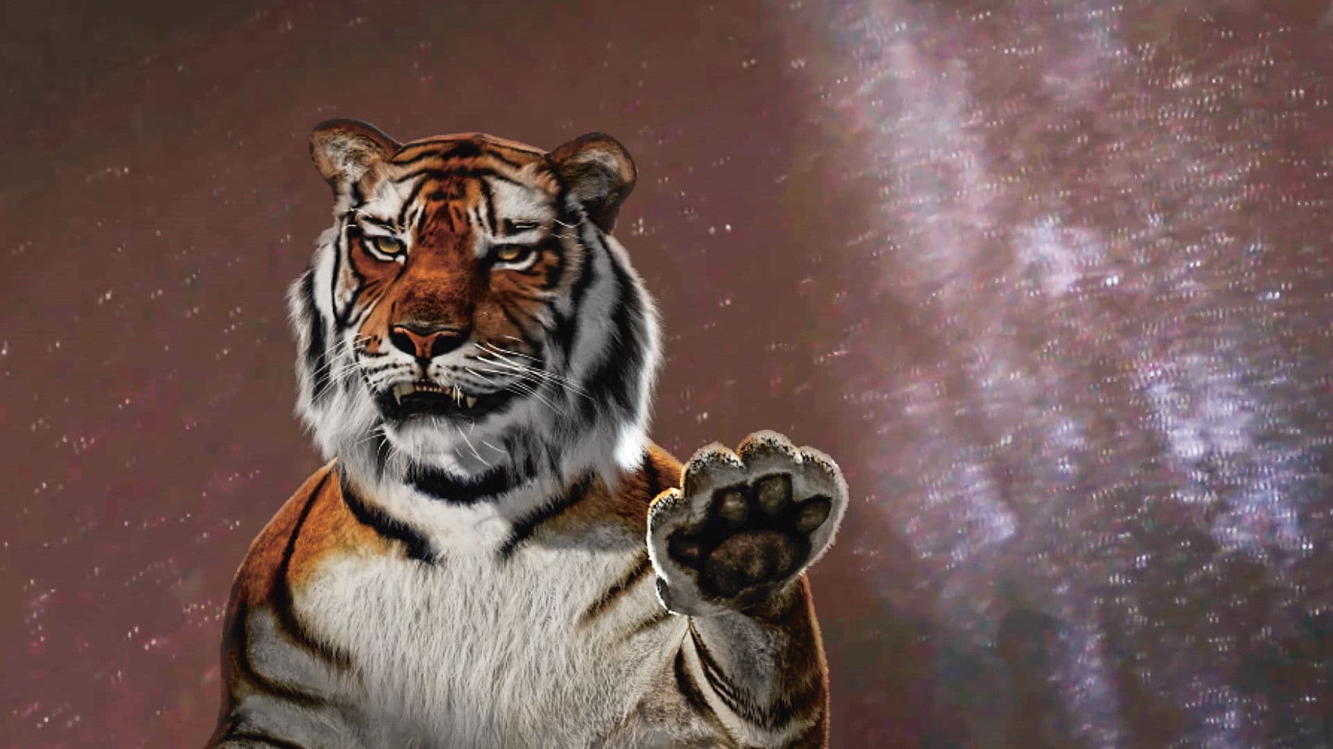 One or Several Tigers