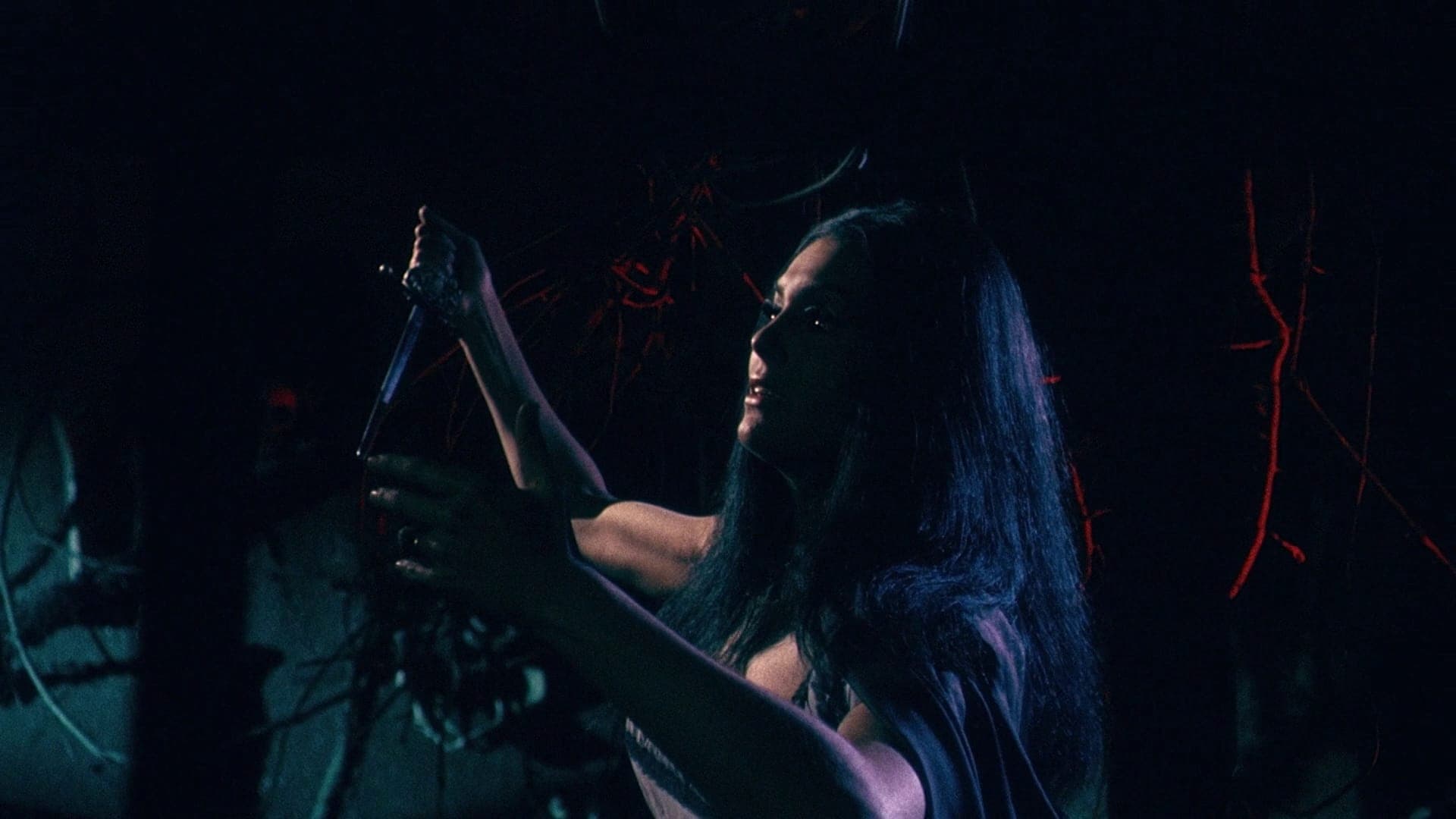 La frusta e il corpo