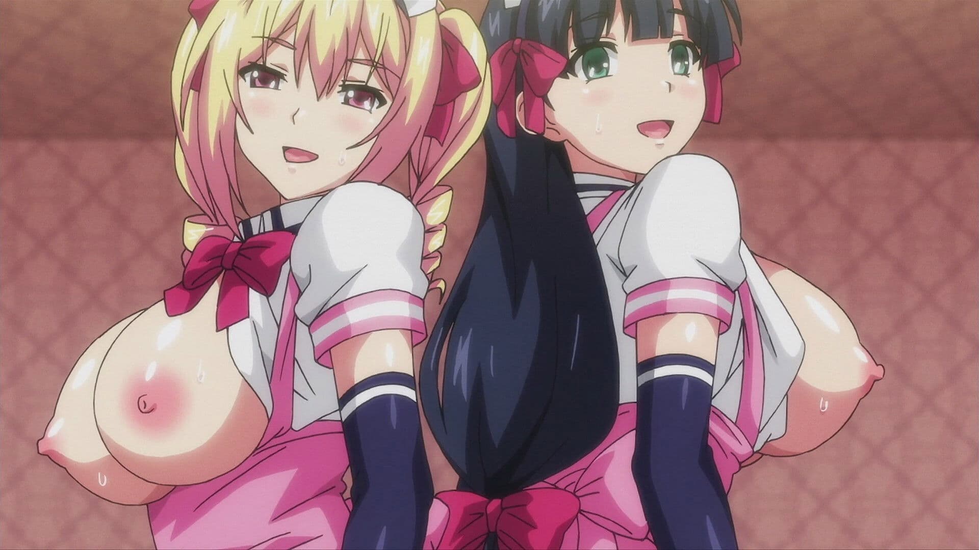 マヨヒガのお姉さん THE ANIMATION