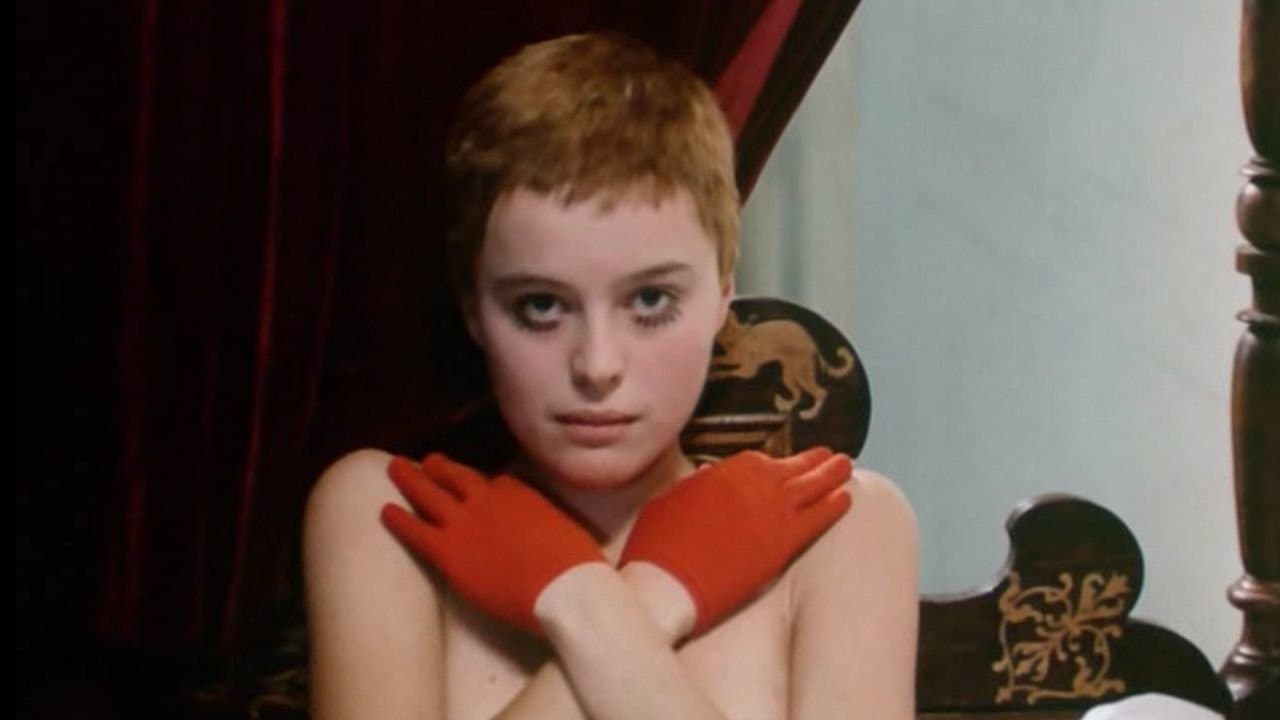 Vtáčkovia, siroty a blázni