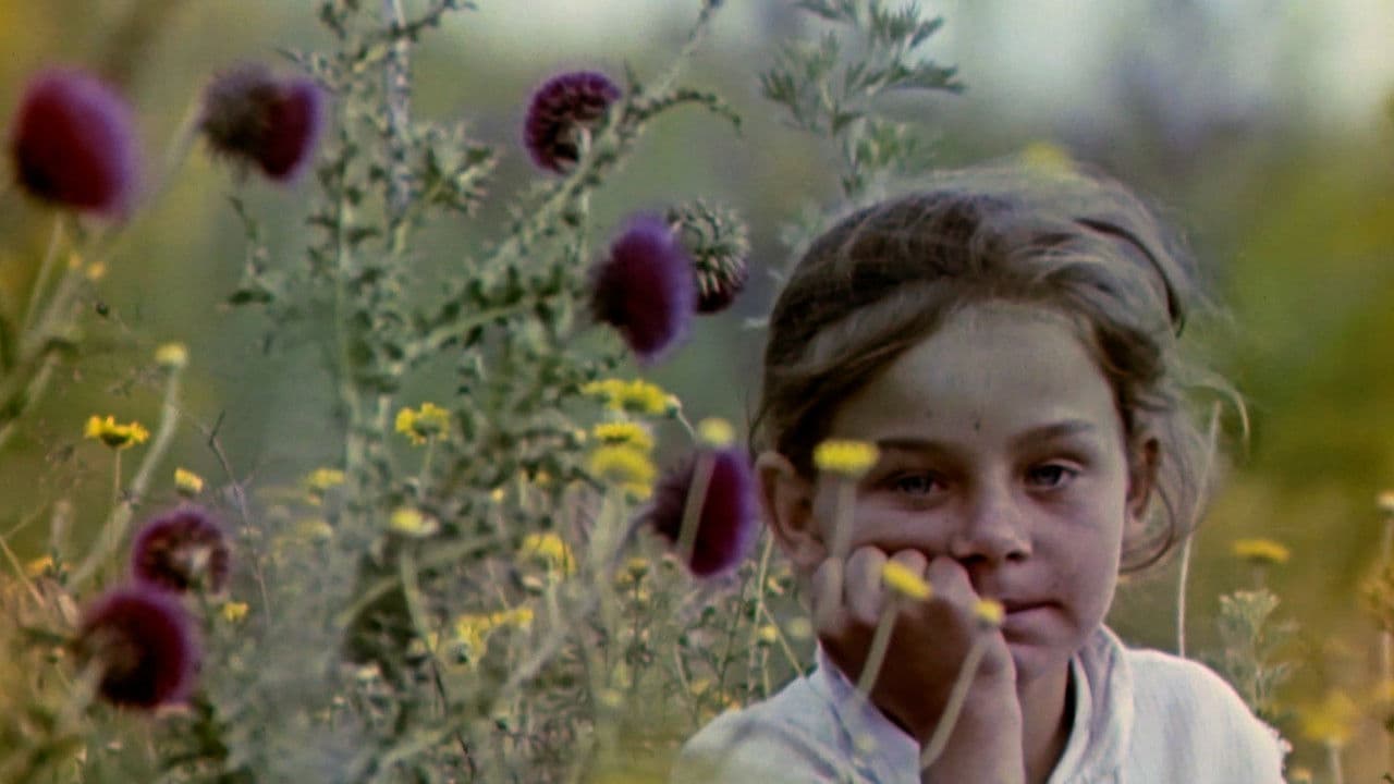 Травневий кульбабовий сніг