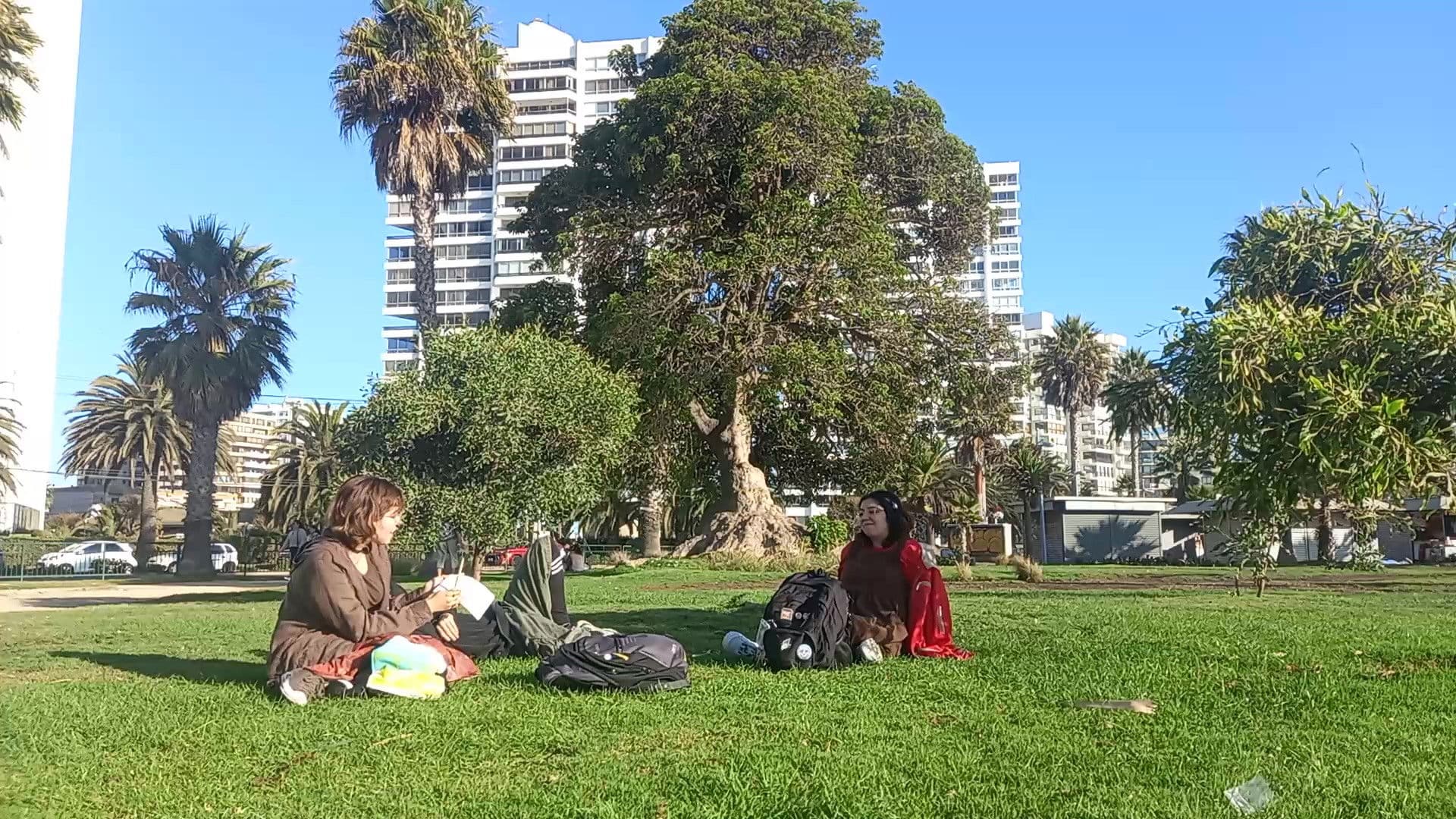 ¡Vaya colmena, tío!